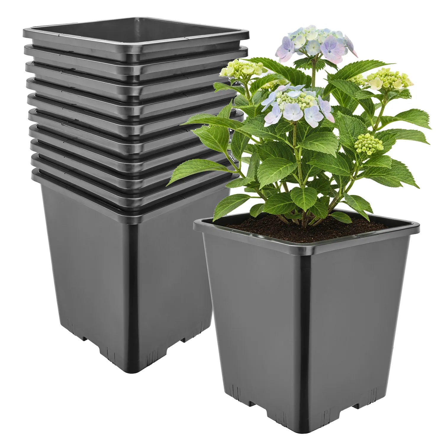 #Größe_20,5 x 20,5 x 23,5 cm (7L)#Menge_10  Stück