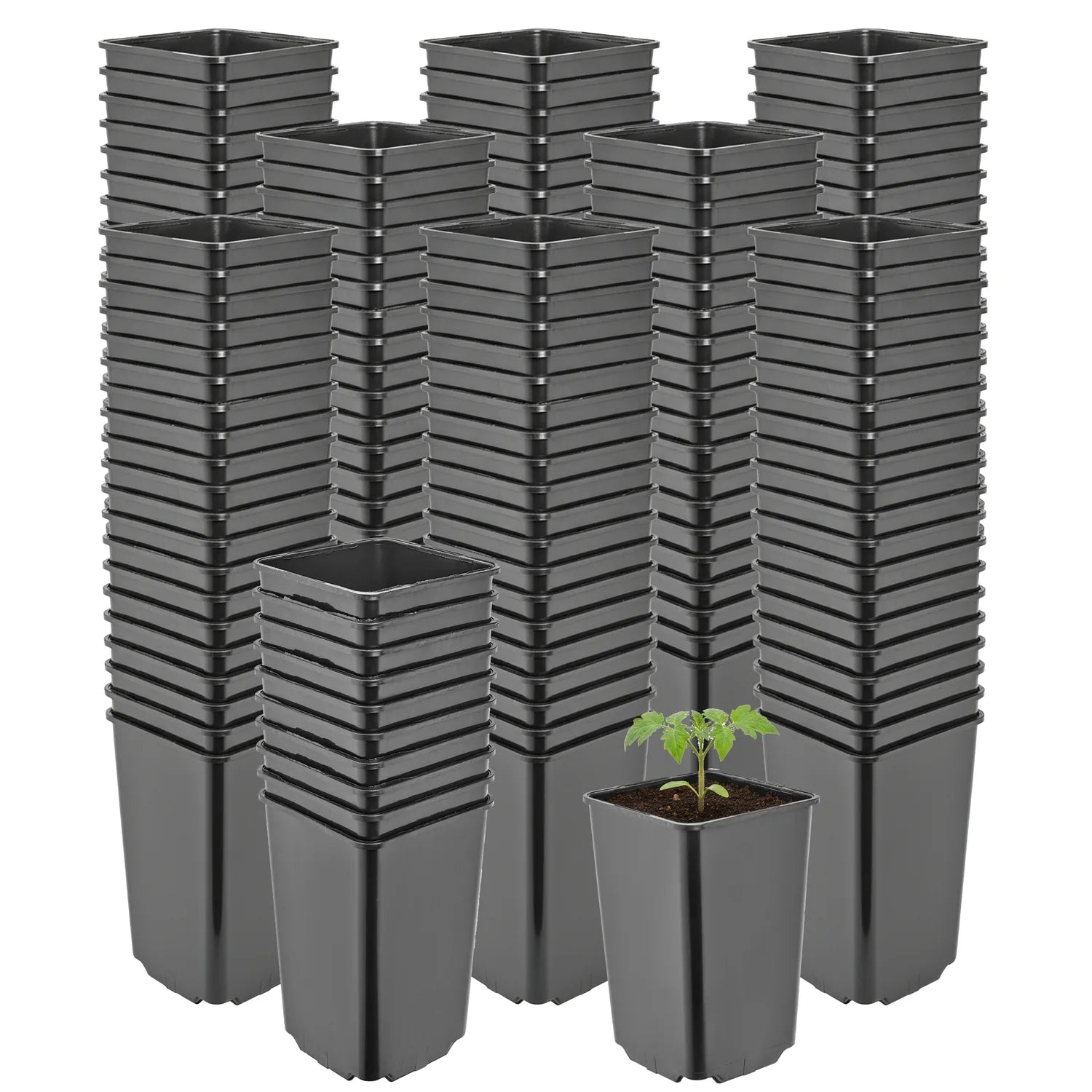 #Größe_9 x 9 x 14 cm (0,8L)#Menge_200  Stück