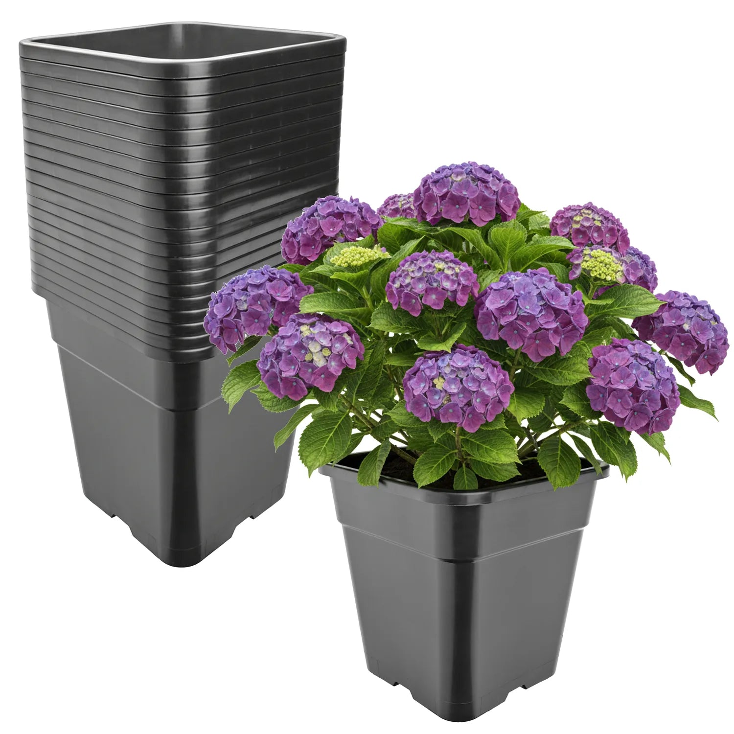 #Größe_30,5 x 30,5 x 31 cm (18L)#Menge_20  Stück