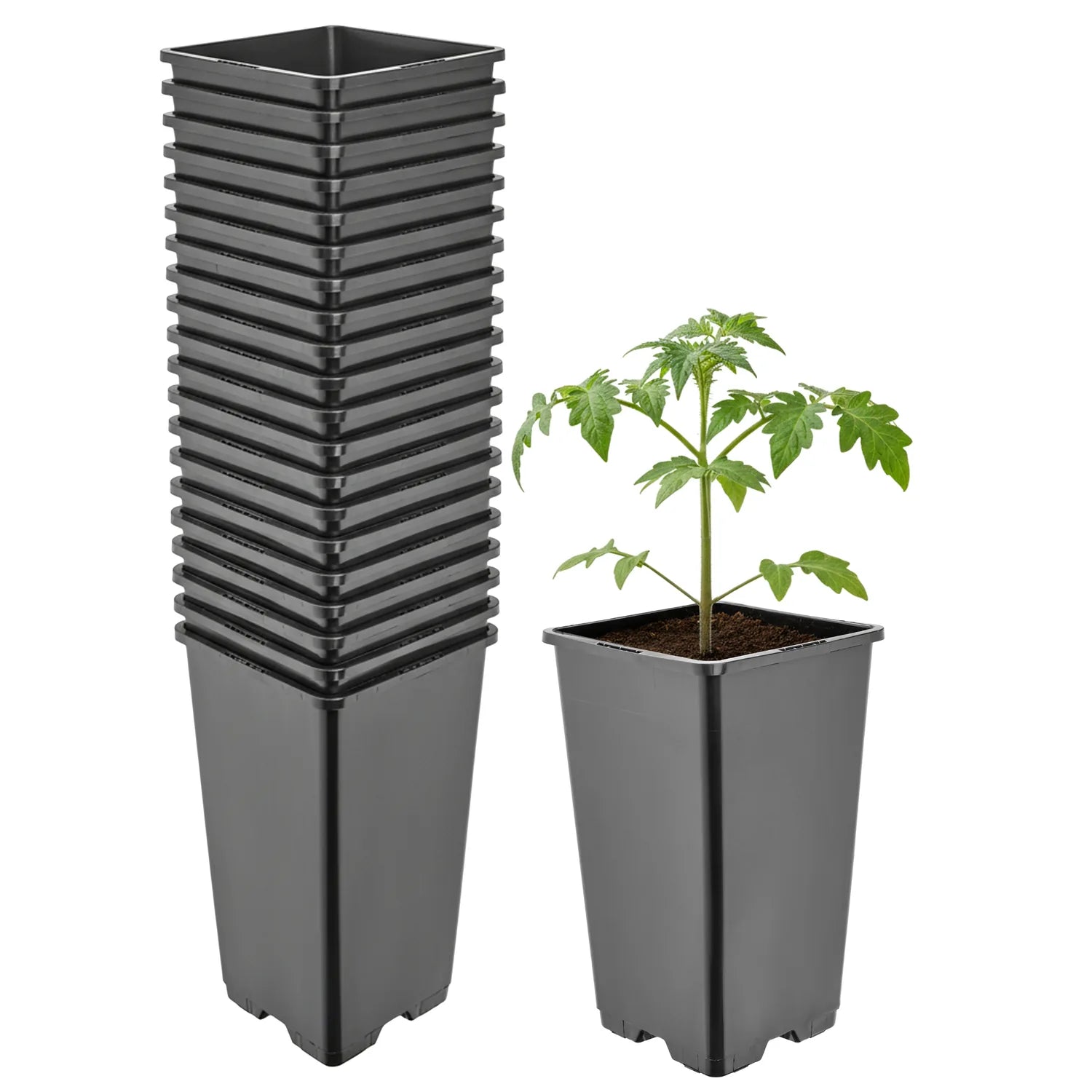 #Größe_11 x 11 x 19 cm (1,7L)#Menge_20  Stück