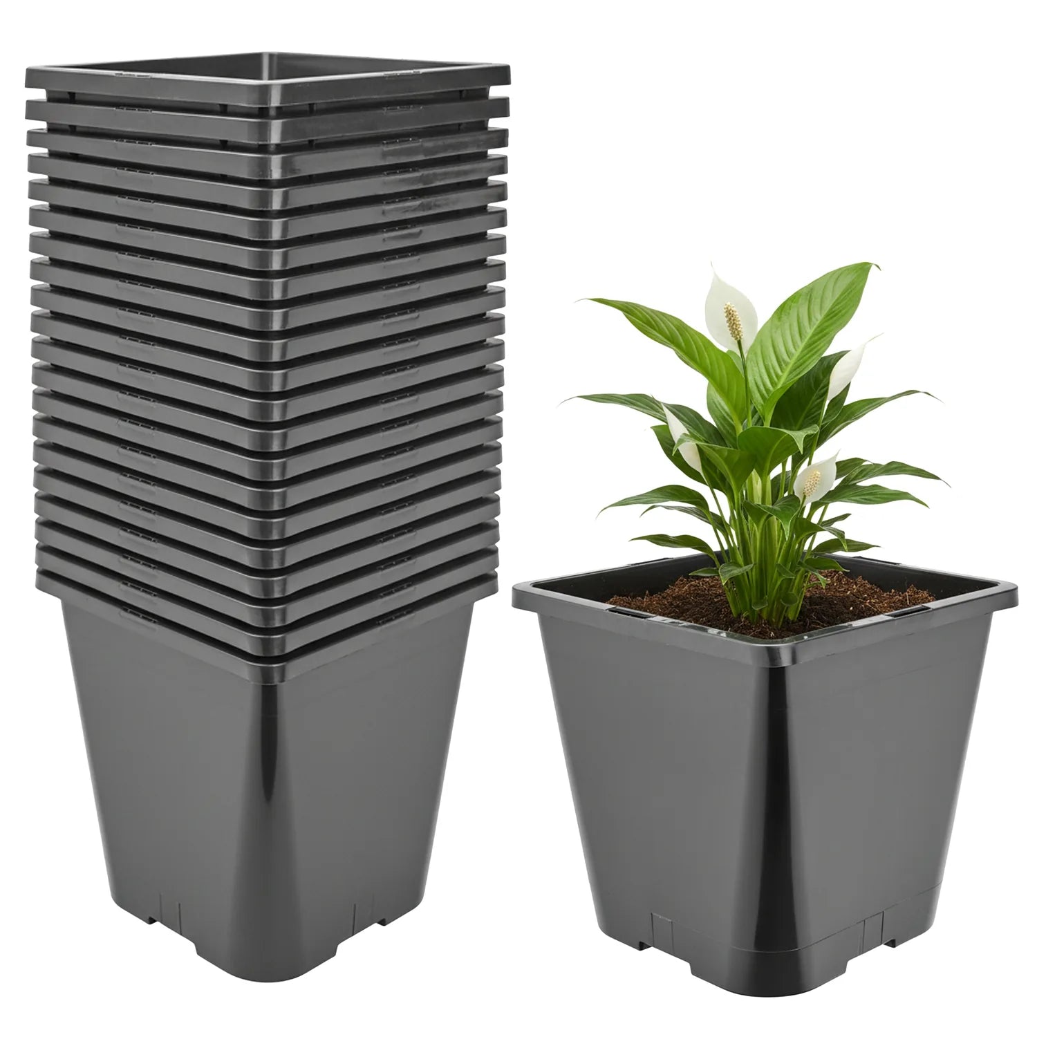 #Größe_20 x 20 x 23 cm (5,6L)#Menge_20  Stück
