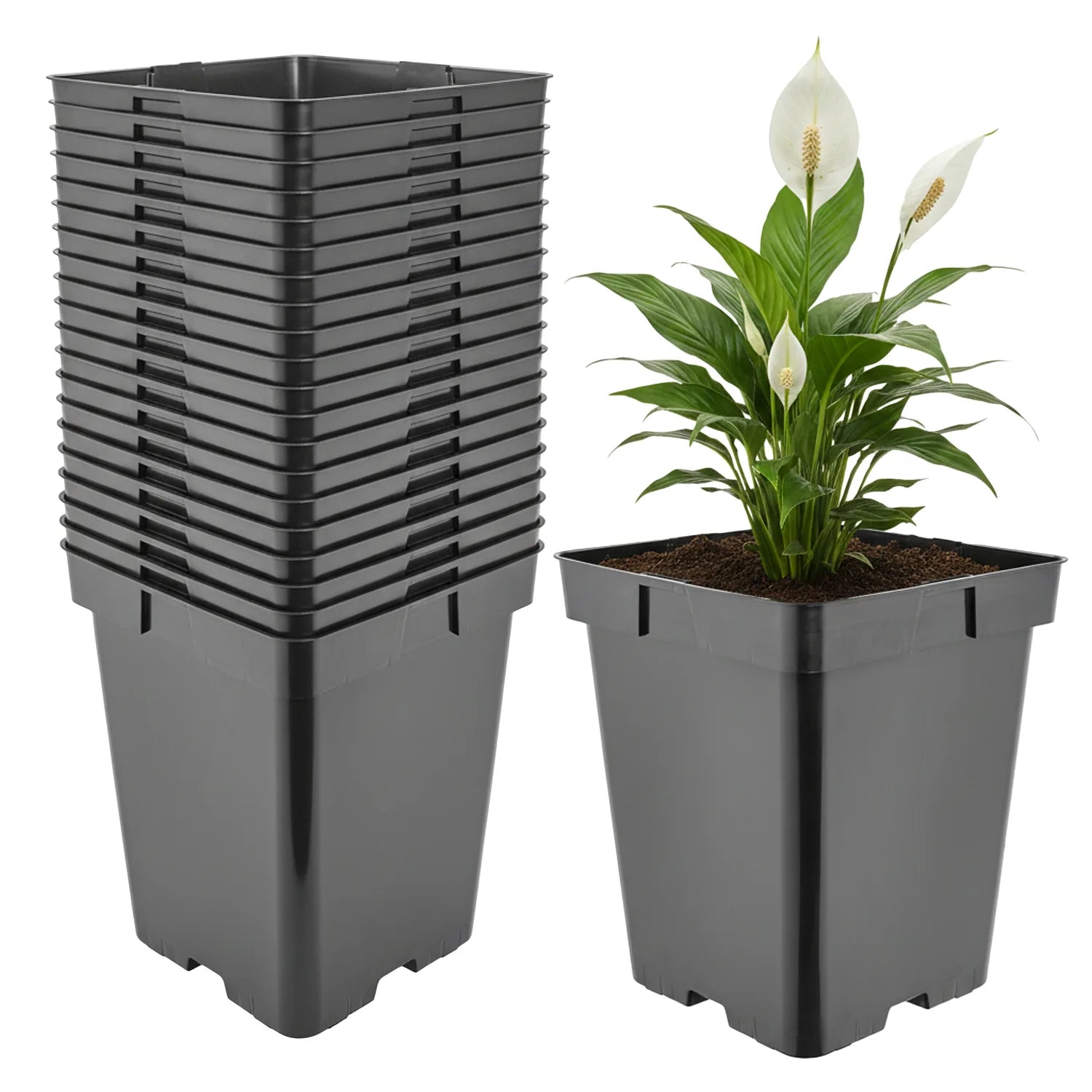 #Größe_18 x 18 x 21,5 cm (5L)#Menge_20  Stück