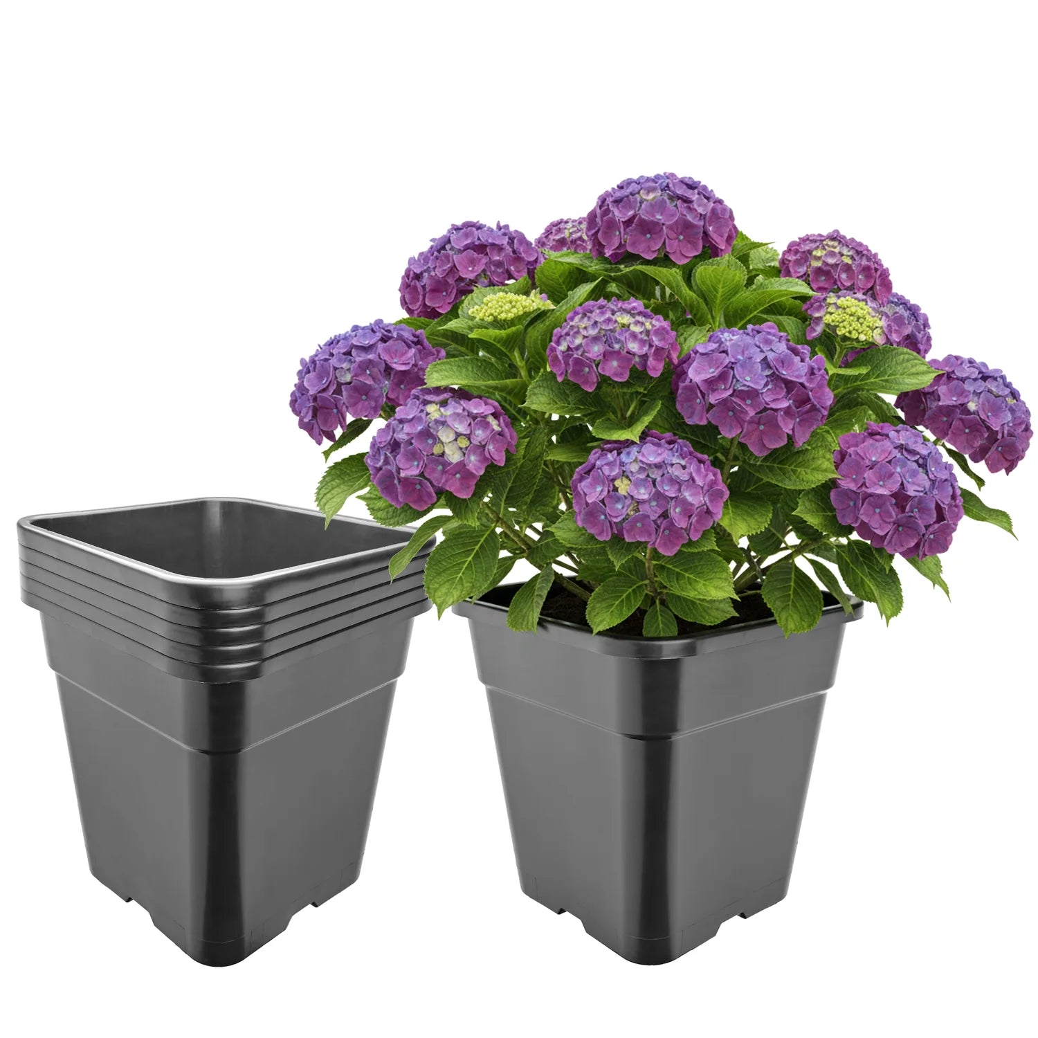 #Größe_30,5 x 30,5 x 31 cm (18L)#Menge_5  Stück