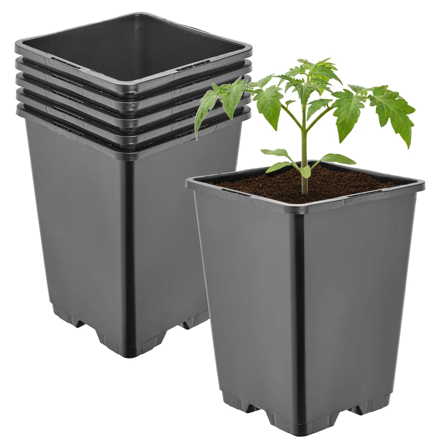 #Größe_11 x 11 x 15,5 cm (1,25L)#Menge_5  Stück
