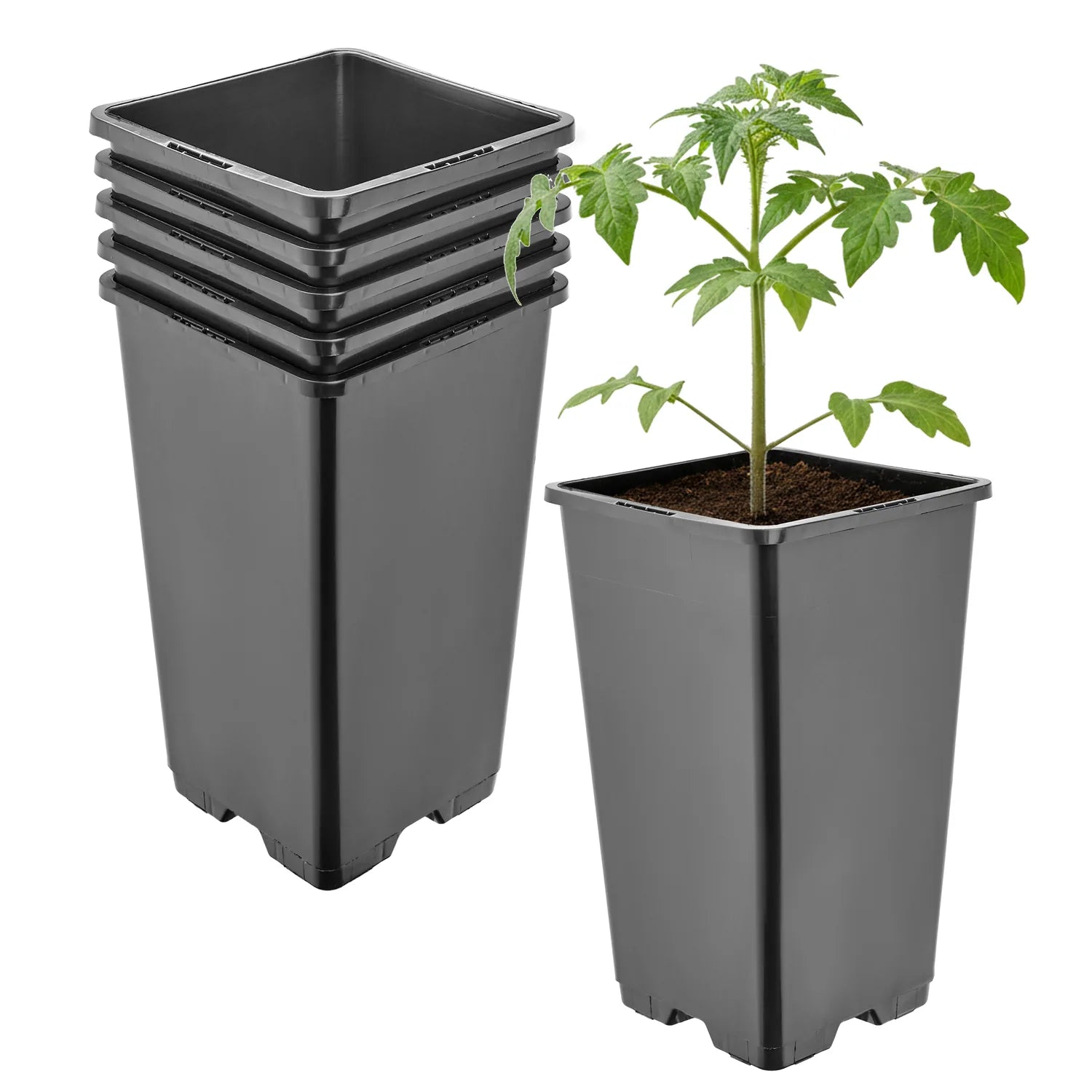 #Größe_11 x 11 x 19 cm (1,7L)#Menge_5  Stück