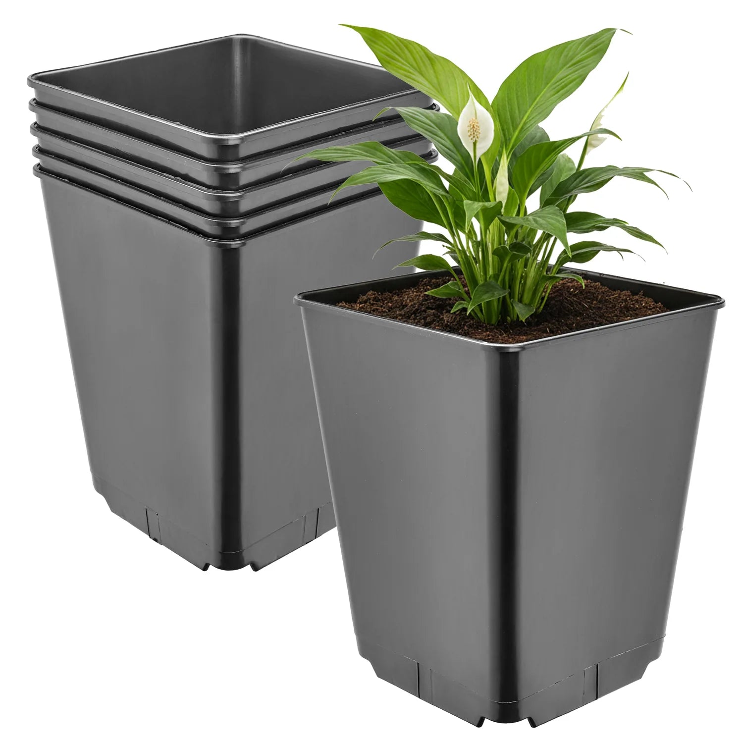 #Größe_16 x 16 x 20 cm (3,5L)#Menge_5  Stück