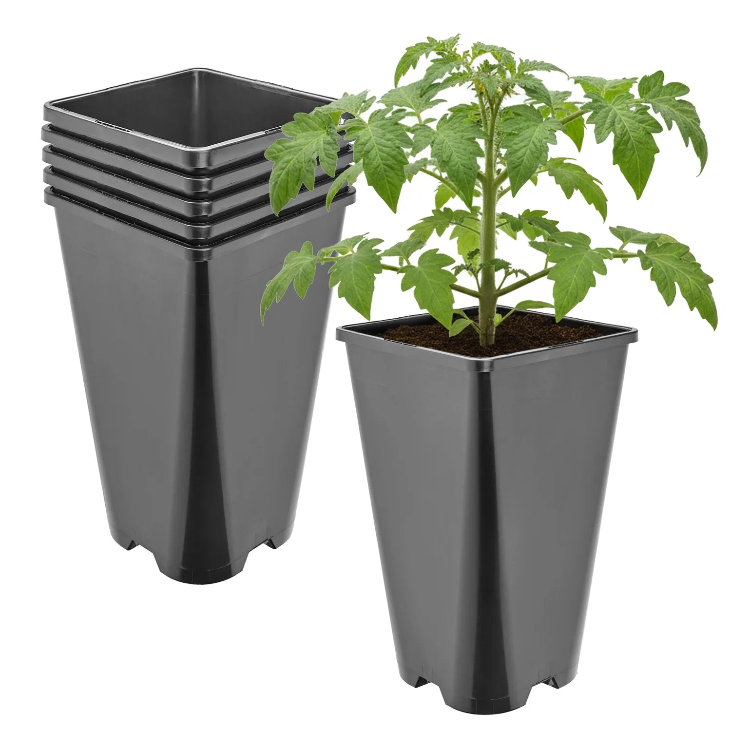 #Größe_13,5 x 13,5 x 23 cm (3L)#Menge_5  Stück