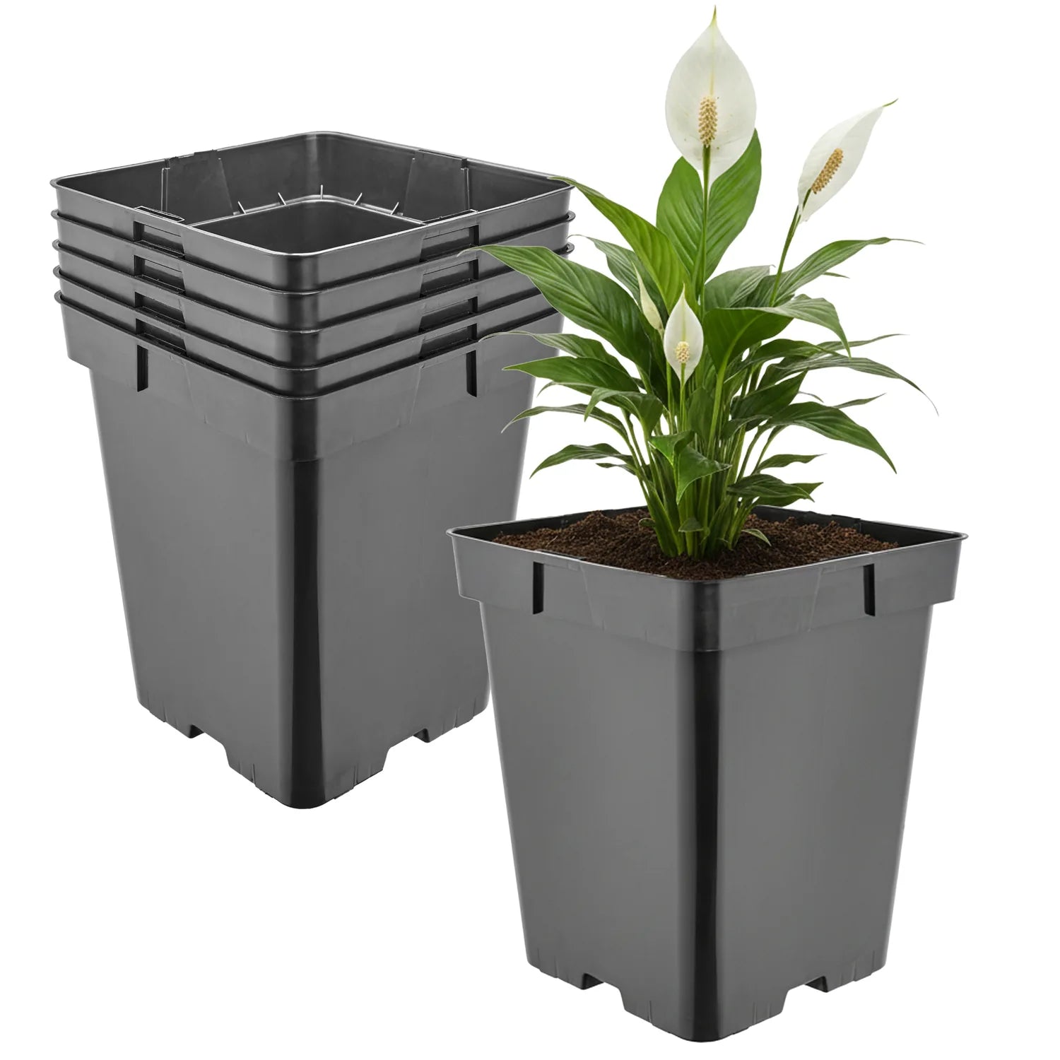 #Größe_18 x 18 x 21,5 cm (5L)#Menge_5  Stück