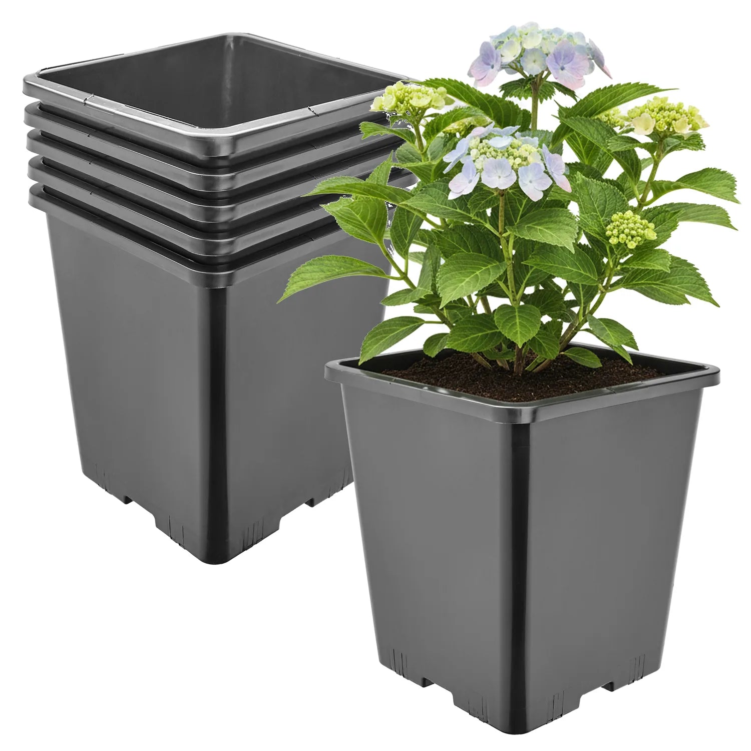 #Größe_20,5 x 20,5 x 23,5 cm (7L)#Menge_5  Stück