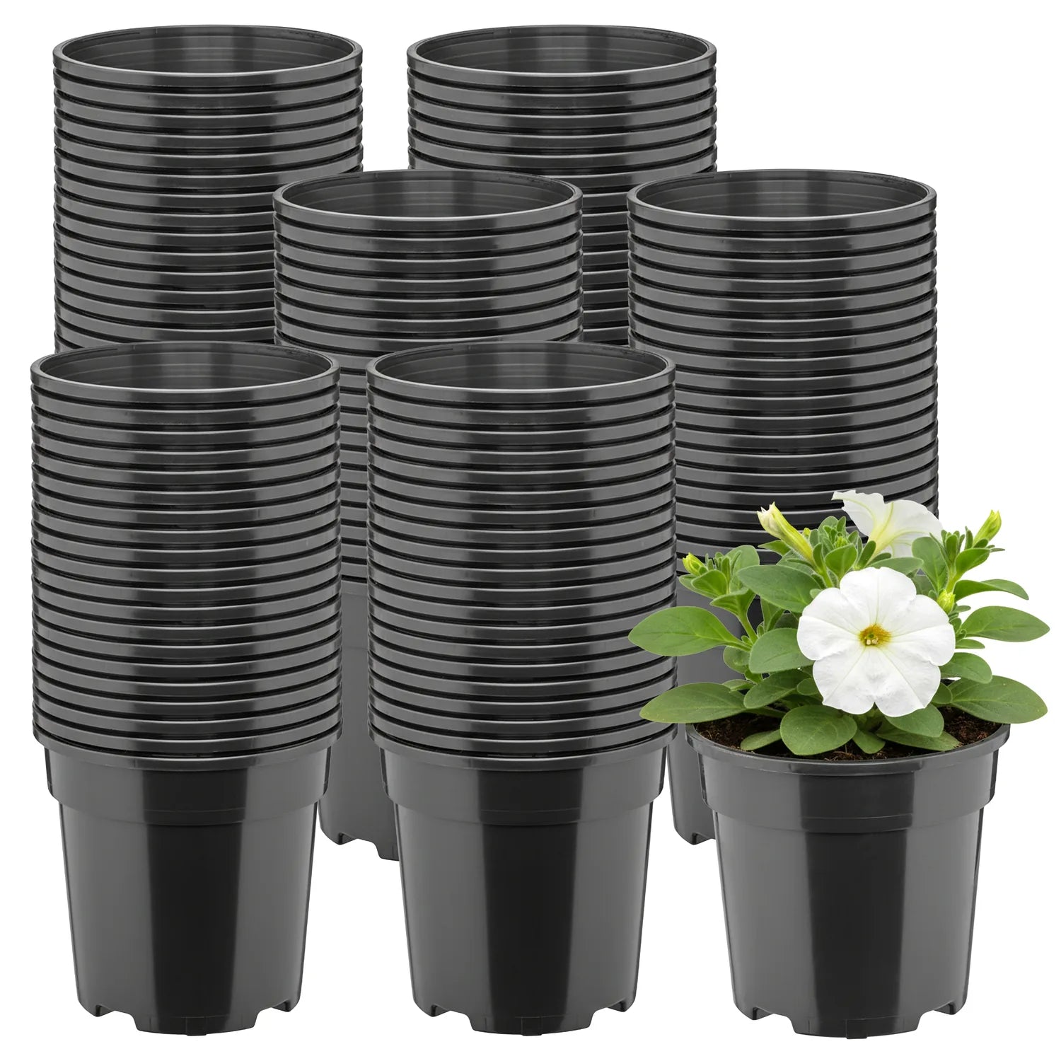 #Größe_Ø13 x 11,5 cm (1L)#Menge_100  Stück