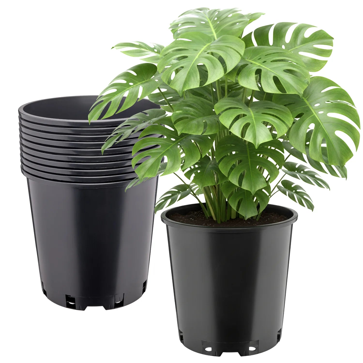 #Größe_Ø26 x 26 cm (12L)#Menge_10  Stück