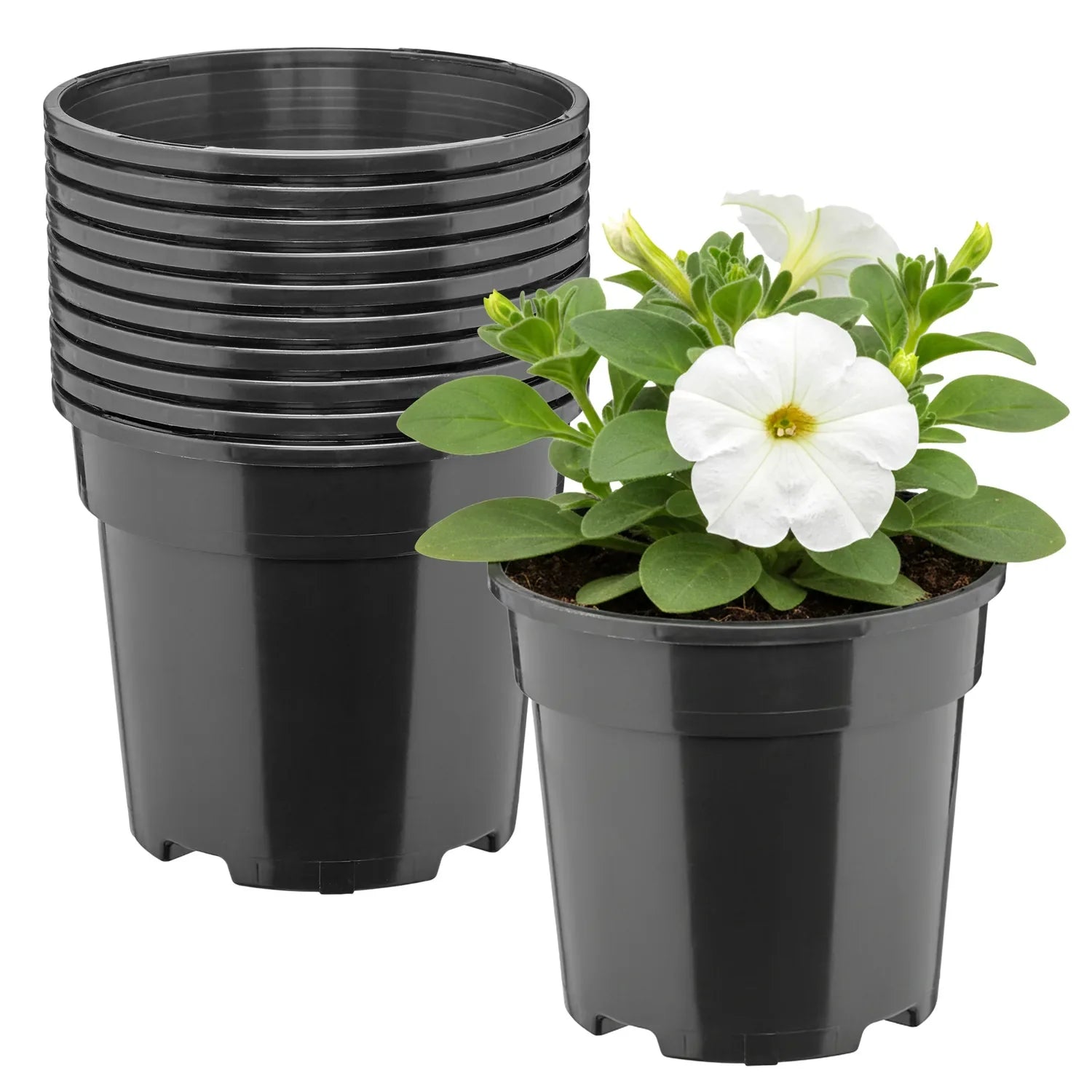 #Größe_Ø13 x 11,5 cm (1L)#Menge_10  Stück