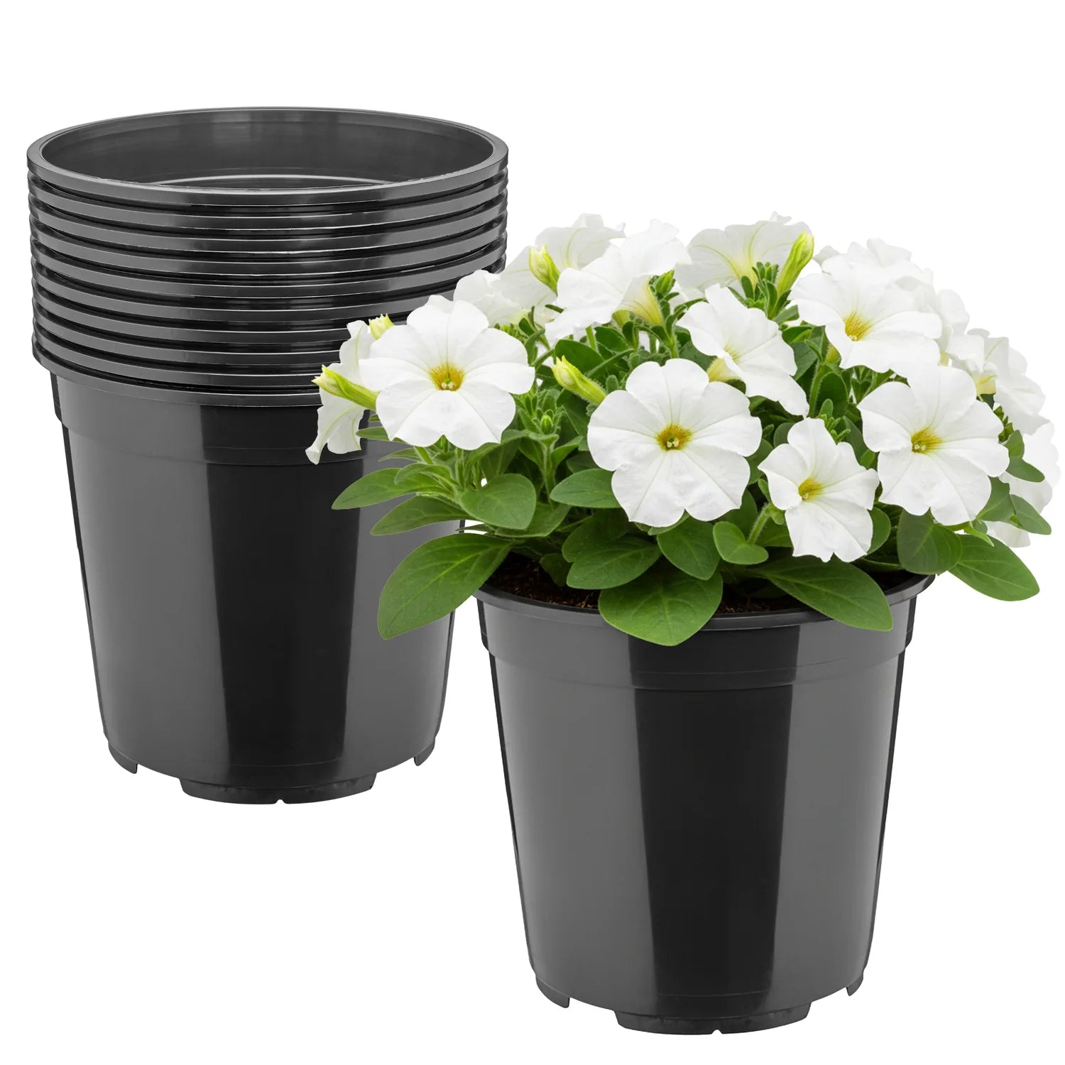 #Größe_Ø20 x 19 cm (4L)#Menge_10  Stück