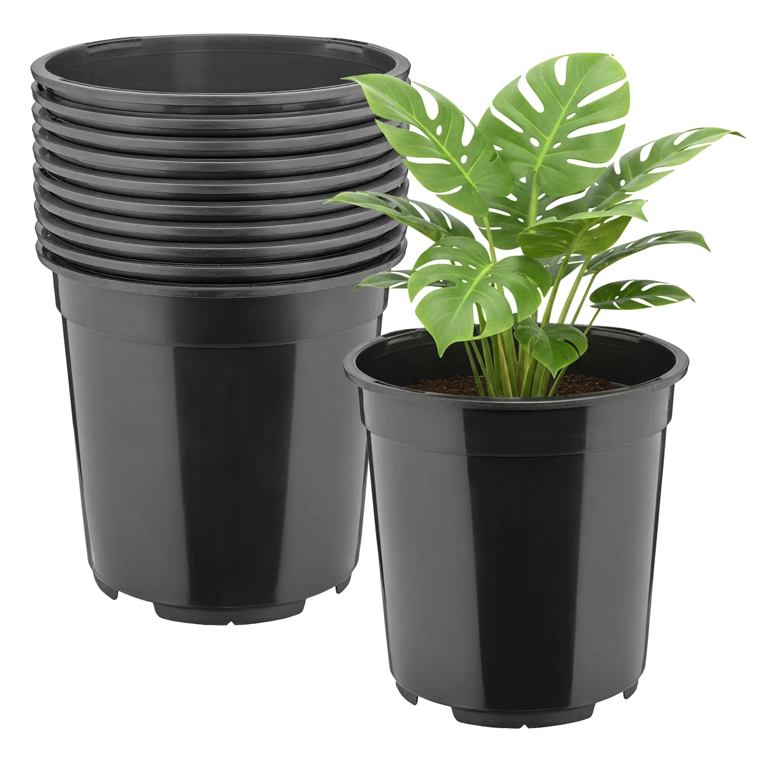 #Größe_Ø21 x 20 cm (5L)#Menge_10  Stück