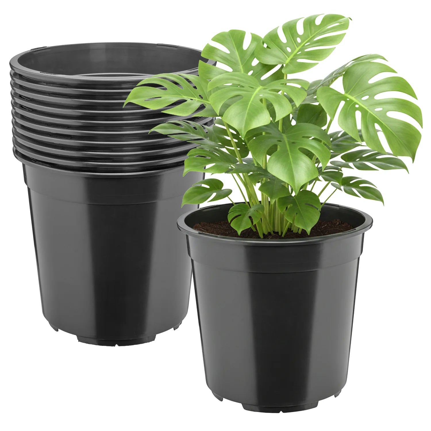 #Größe_Ø24 x 22 cm (7L)#Menge_10  Stück