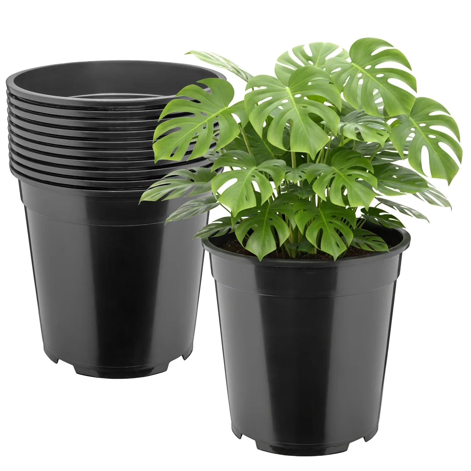 #Größe_Ø25 x 24 cm (9,5L)#Menge_10  Stück