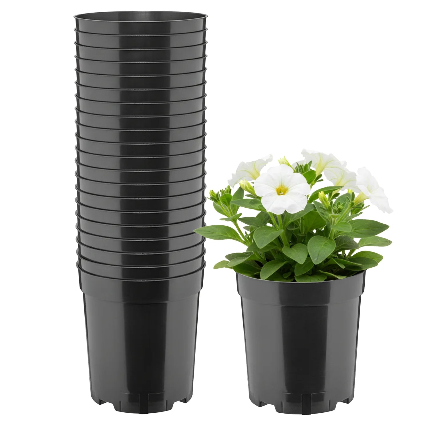 #Größe_Ø14 x 15 cm (2L)#Menge_20  Stück