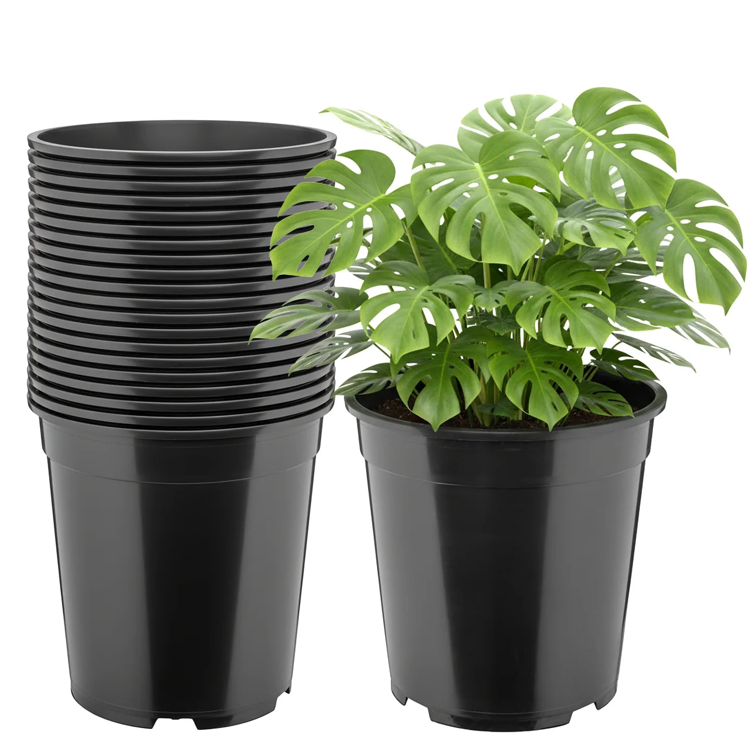 #Größe_Ø25 x 24 cm (9,5L)#Menge_20  Stück