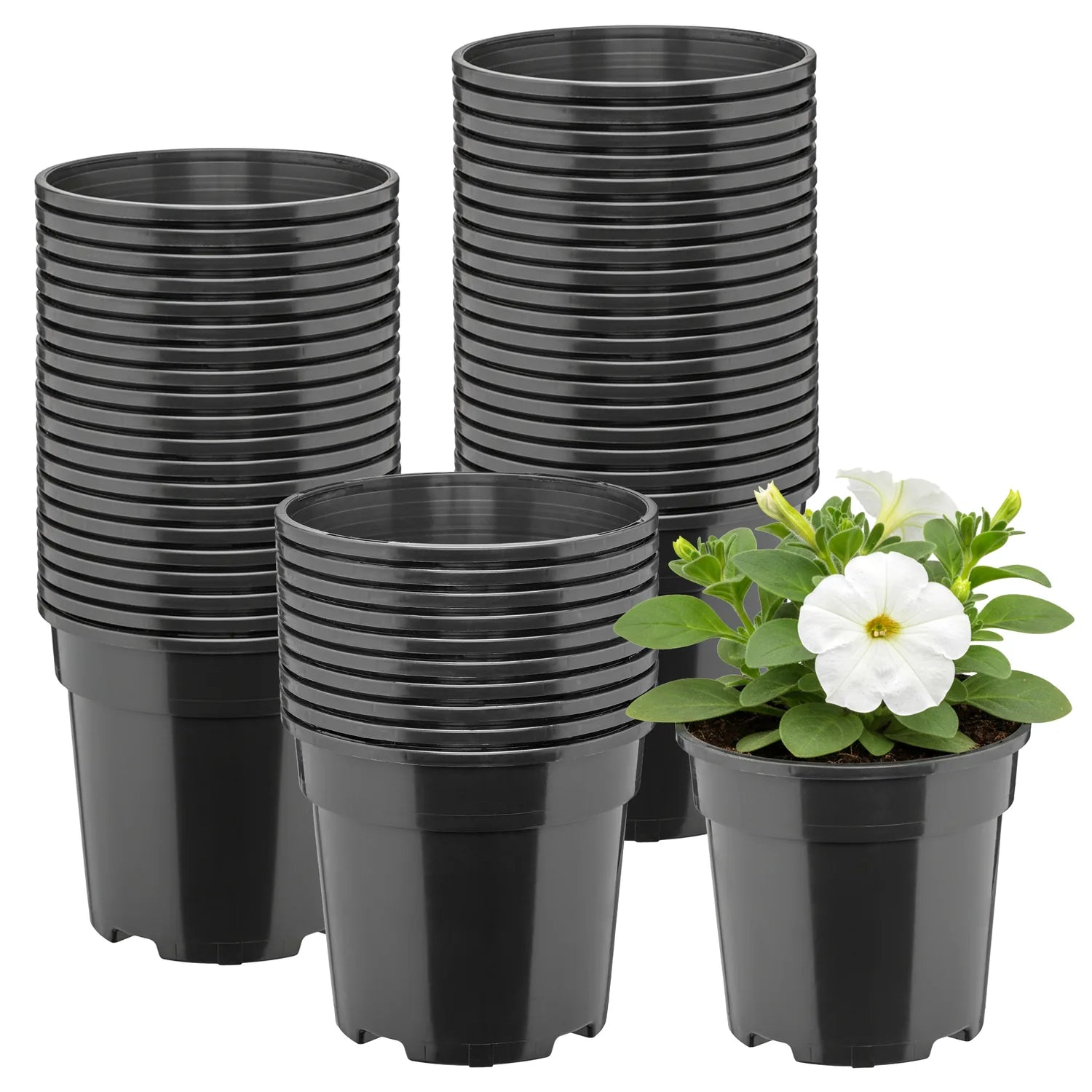 #Größe_Ø13 x 11,5 cm (1L)#Menge_50  Stück