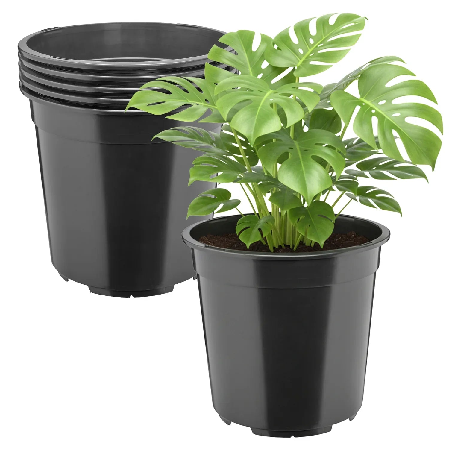 #Größe_Ø24 x 22 cm (7L)#Menge_5  Stück