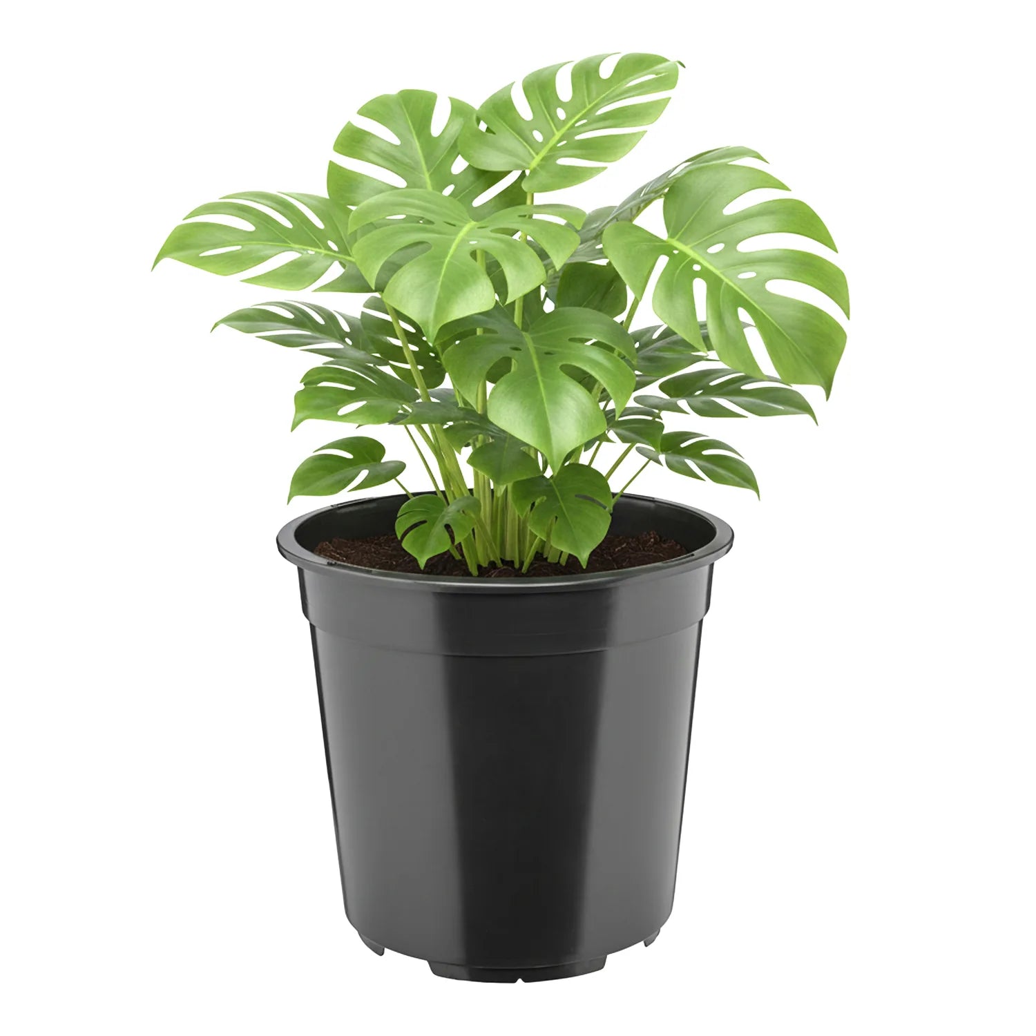 #Größe_Ø24 x 22 cm (7L)#Menge_1  Stück