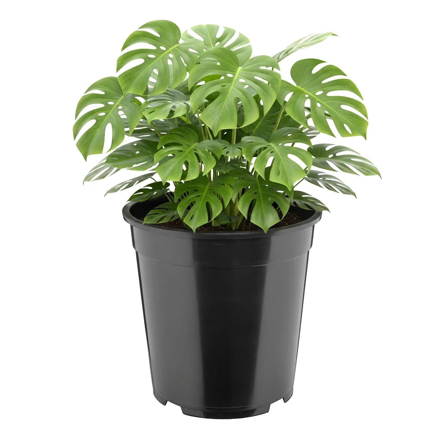 #Größe_Ø25 x 24 cm (9,5L)#Menge_1  Stück