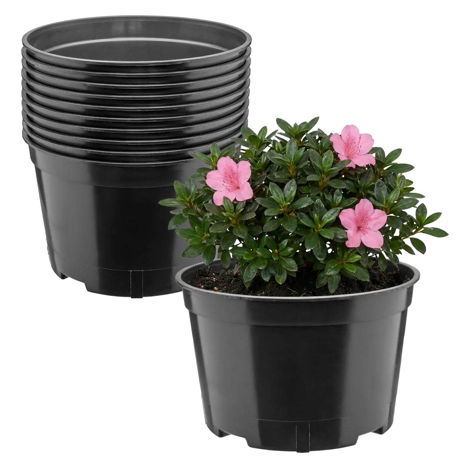 #Größe_Ø18 x 11,5 cm (2L)#Menge_10  Stück