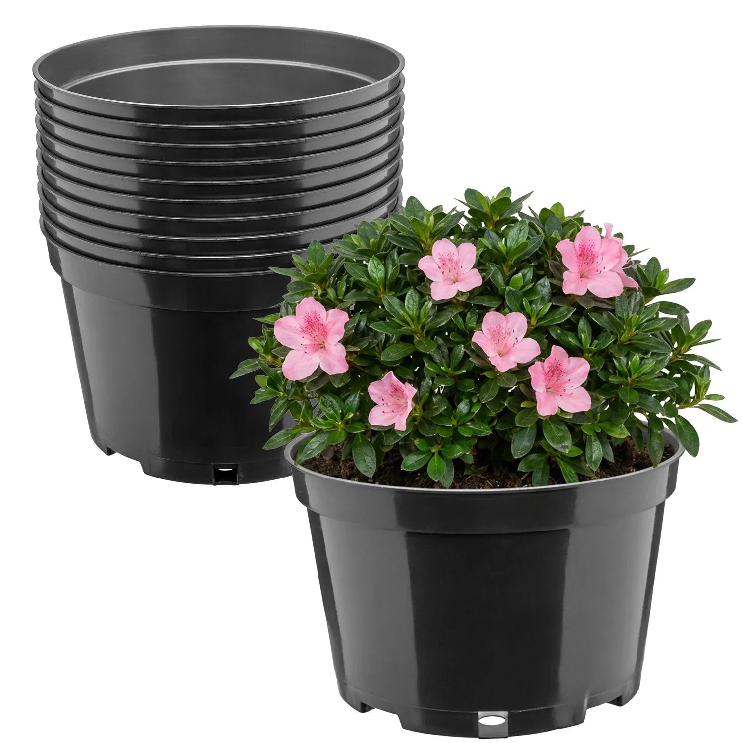 #Größe_Ø20 x 13 cm (3L)#Menge_10  Stück