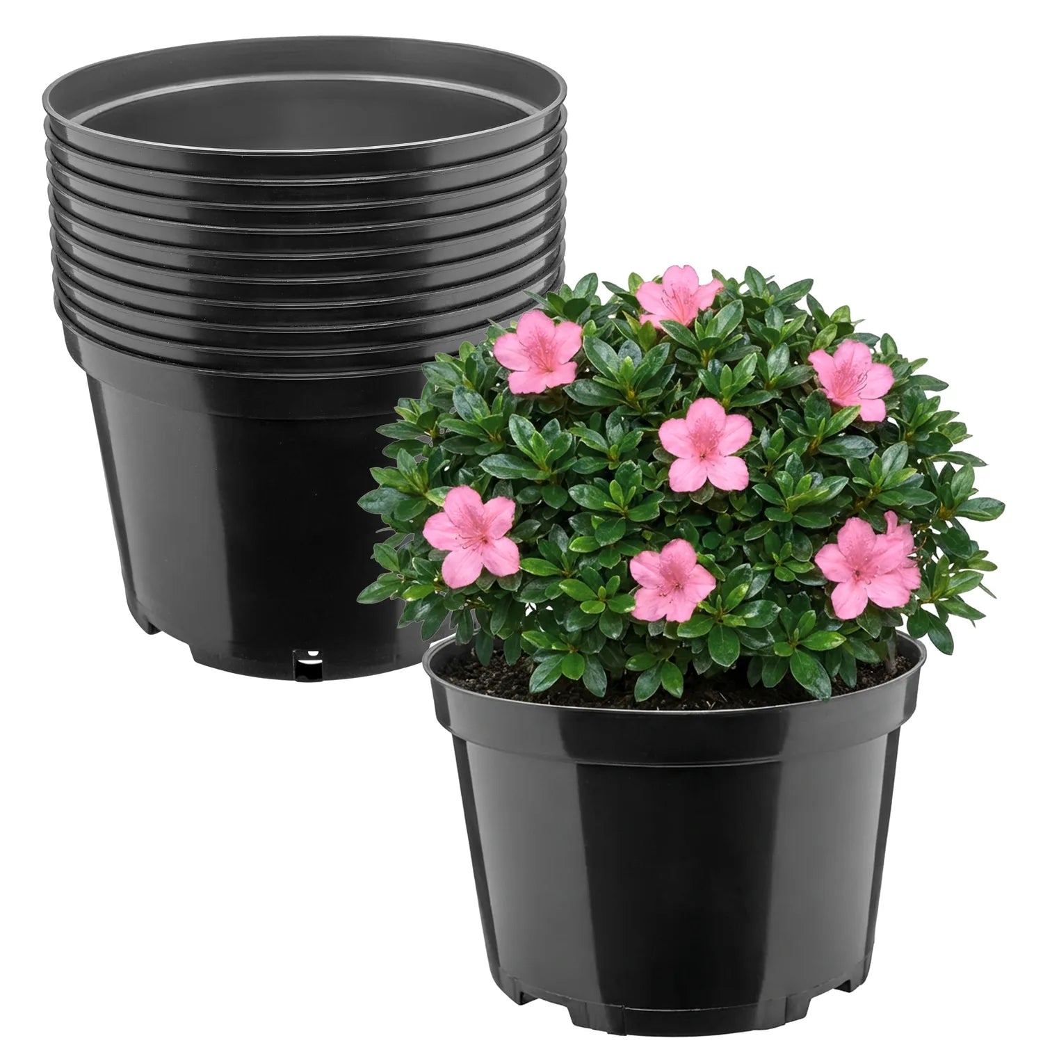 #Größe_Ø22 x 14,5 cm (4L)#Menge_10  Stück