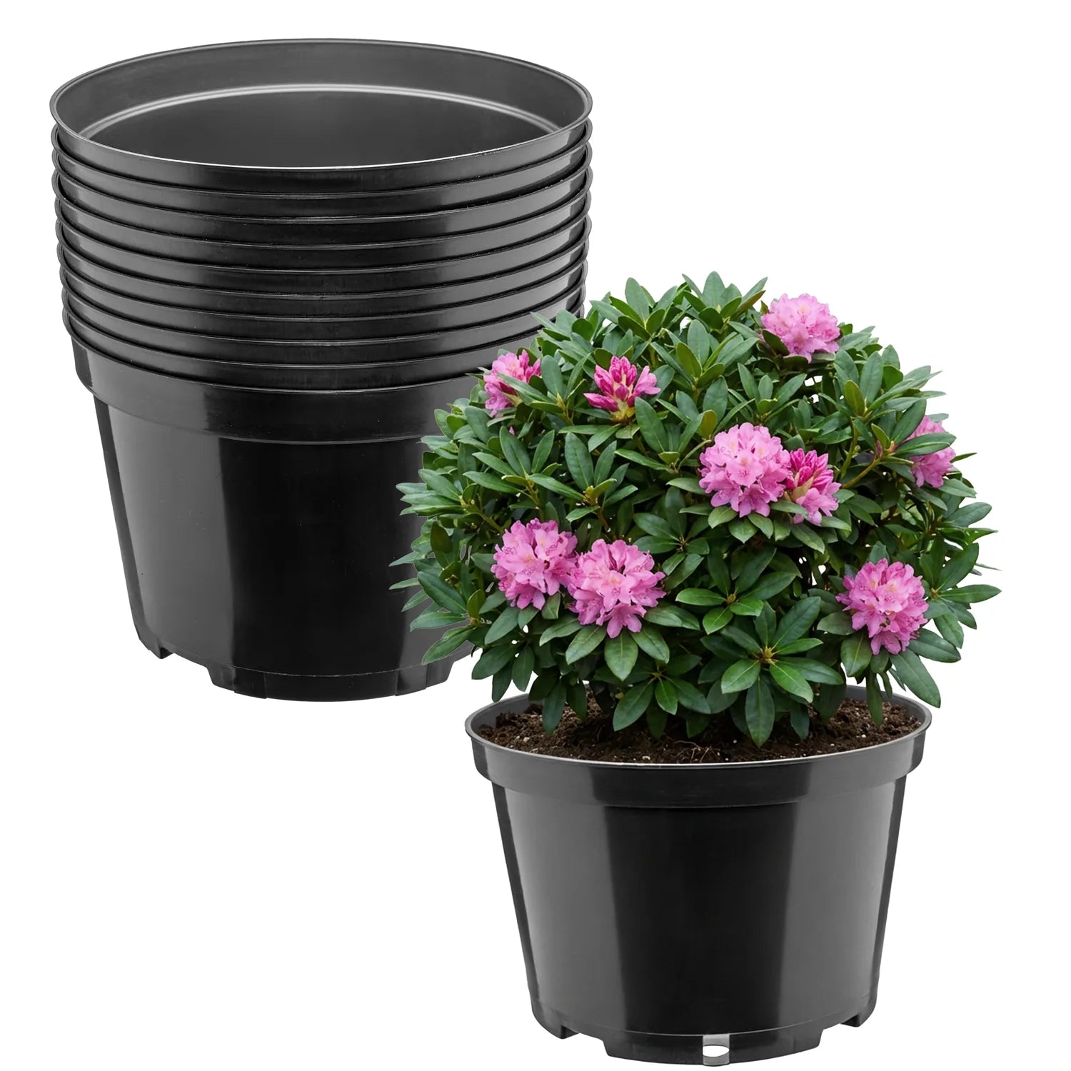 #Größe_Ø24 x 15,5 cm (5L)#Menge_10  Stück