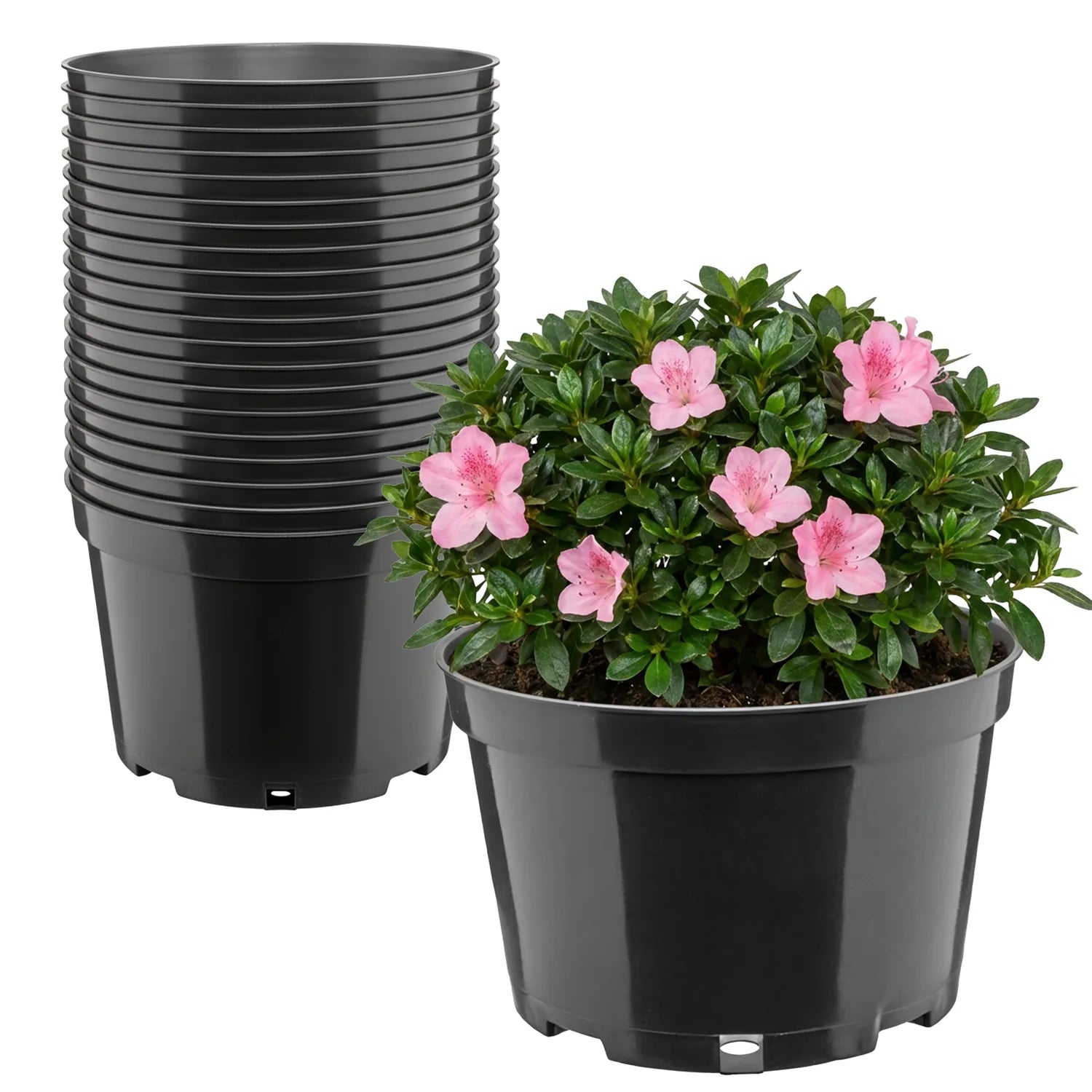 #Größe_Ø20 x 13 cm (3L)#Menge_20  Stück