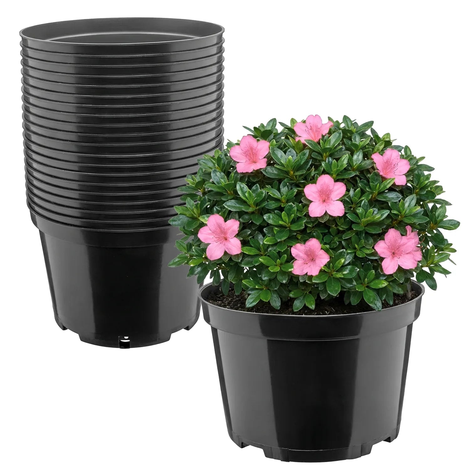 #Größe_Ø22 x 14,5 cm (4L)#Menge_20  Stück