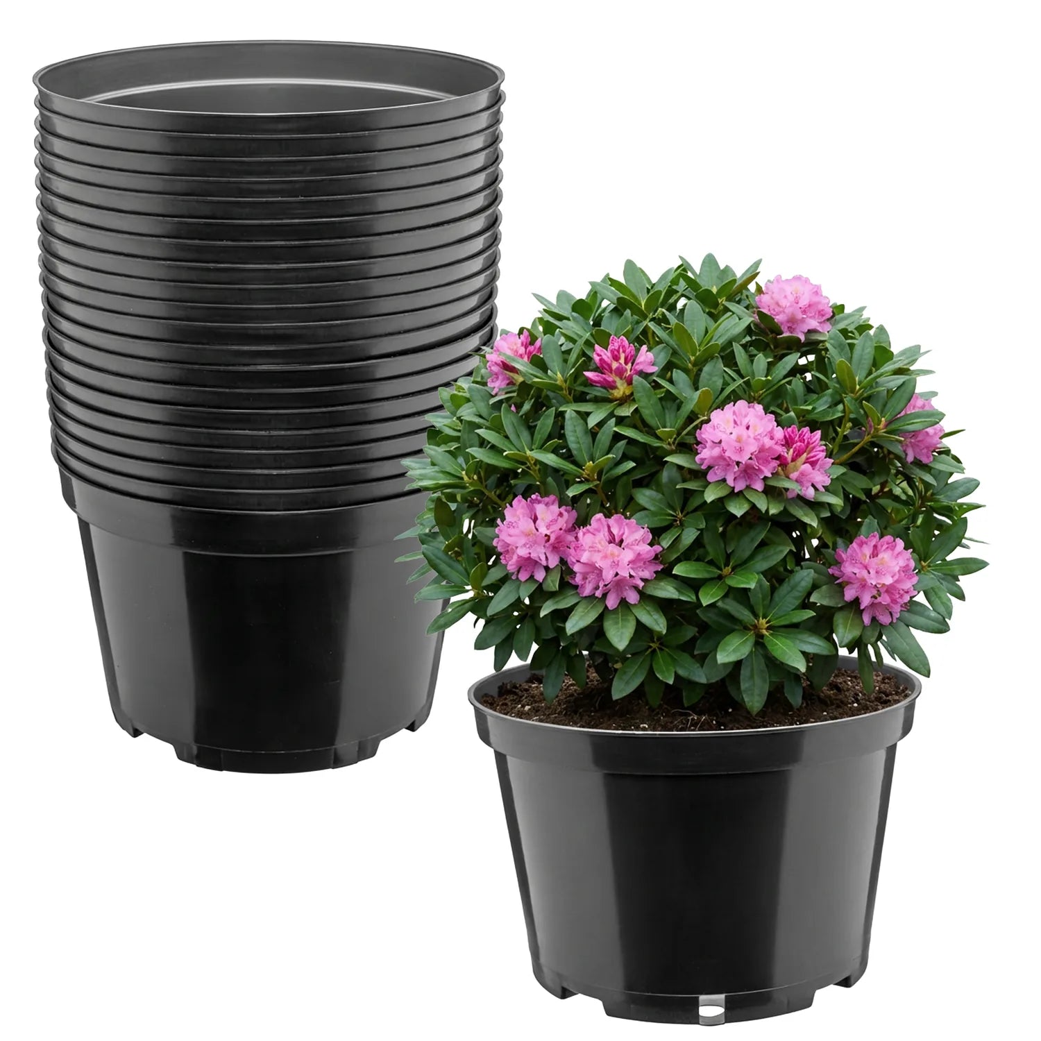 #Größe_Ø24 x 15,5 cm (5L)#Menge_20  Stück