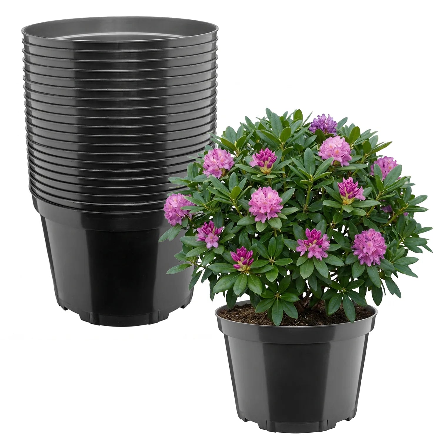 #Größe_Ø27 x 17,5 cm (7,5L)#Menge_20  Stück