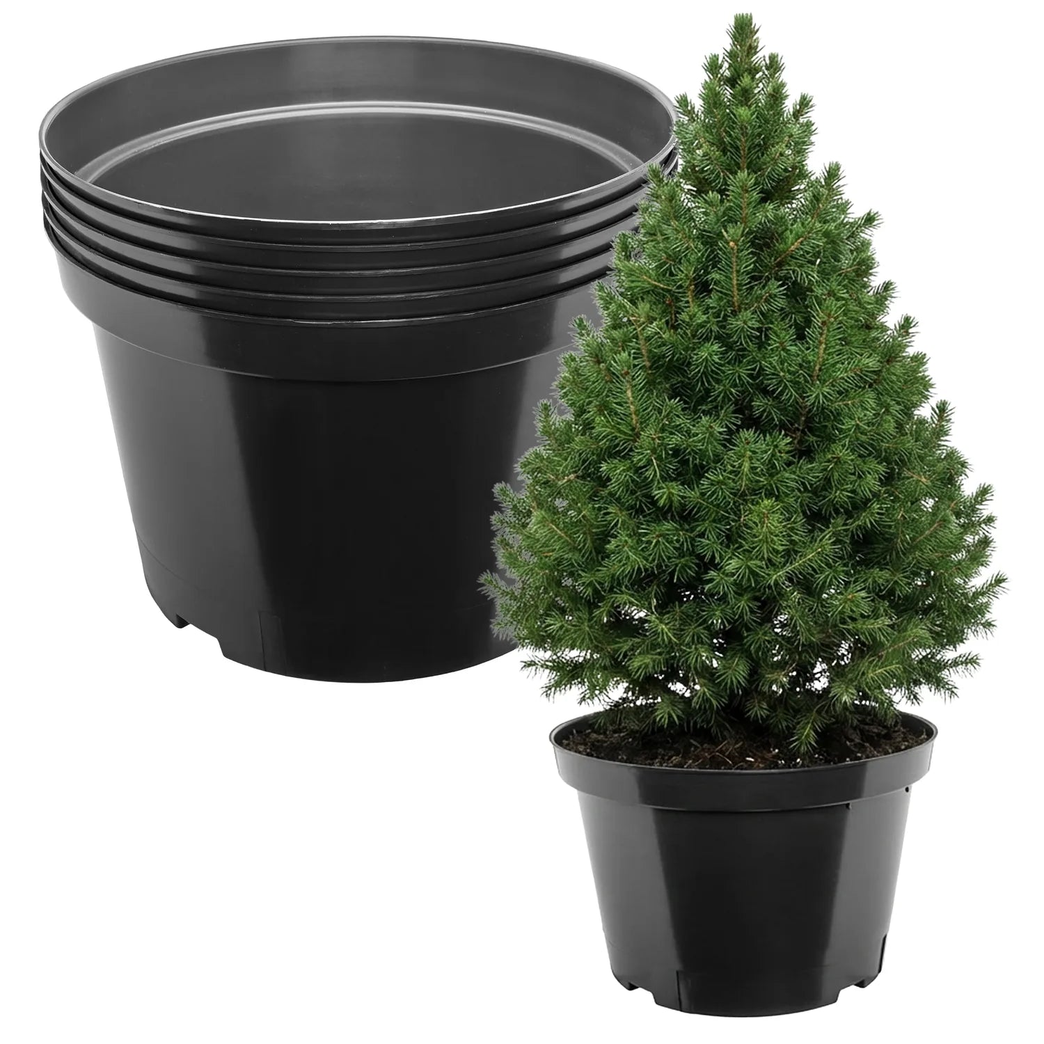 #Größe_Ø41 x 27 cm (25L)#Menge_5  Stück