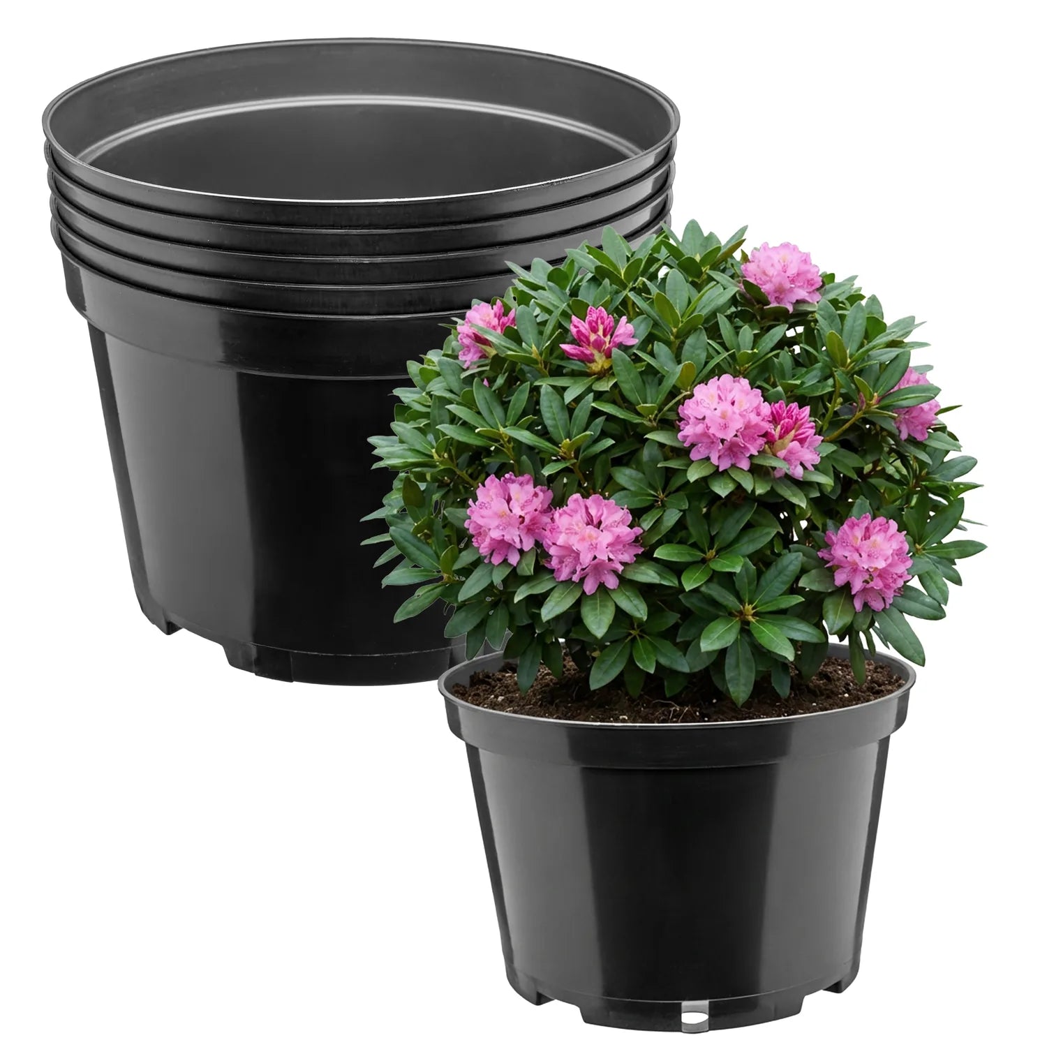 #Größe_Ø24 x 15,5 cm (5L)#Menge_5  Stück