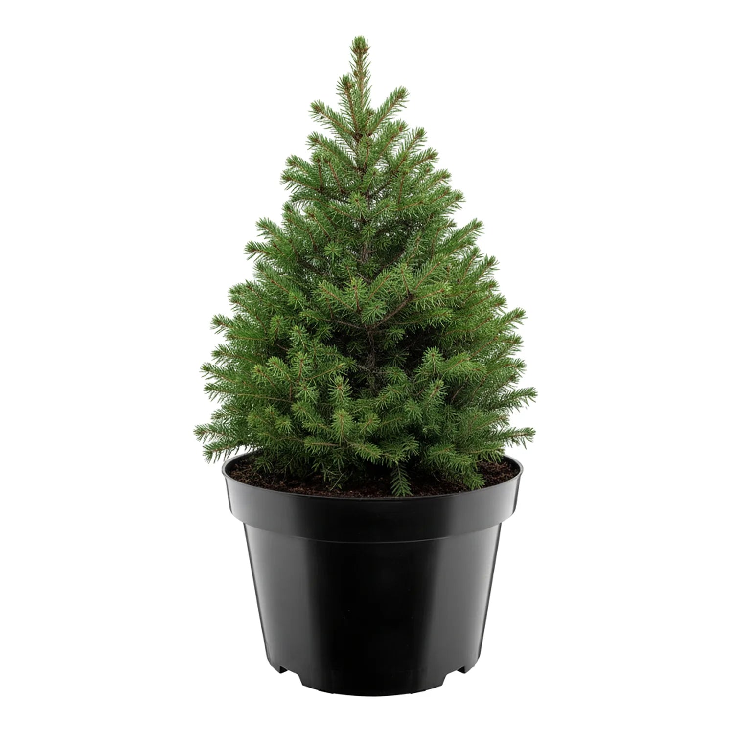 #Größe_Ø38 x 25 cm (20L)#Menge_1  Stück