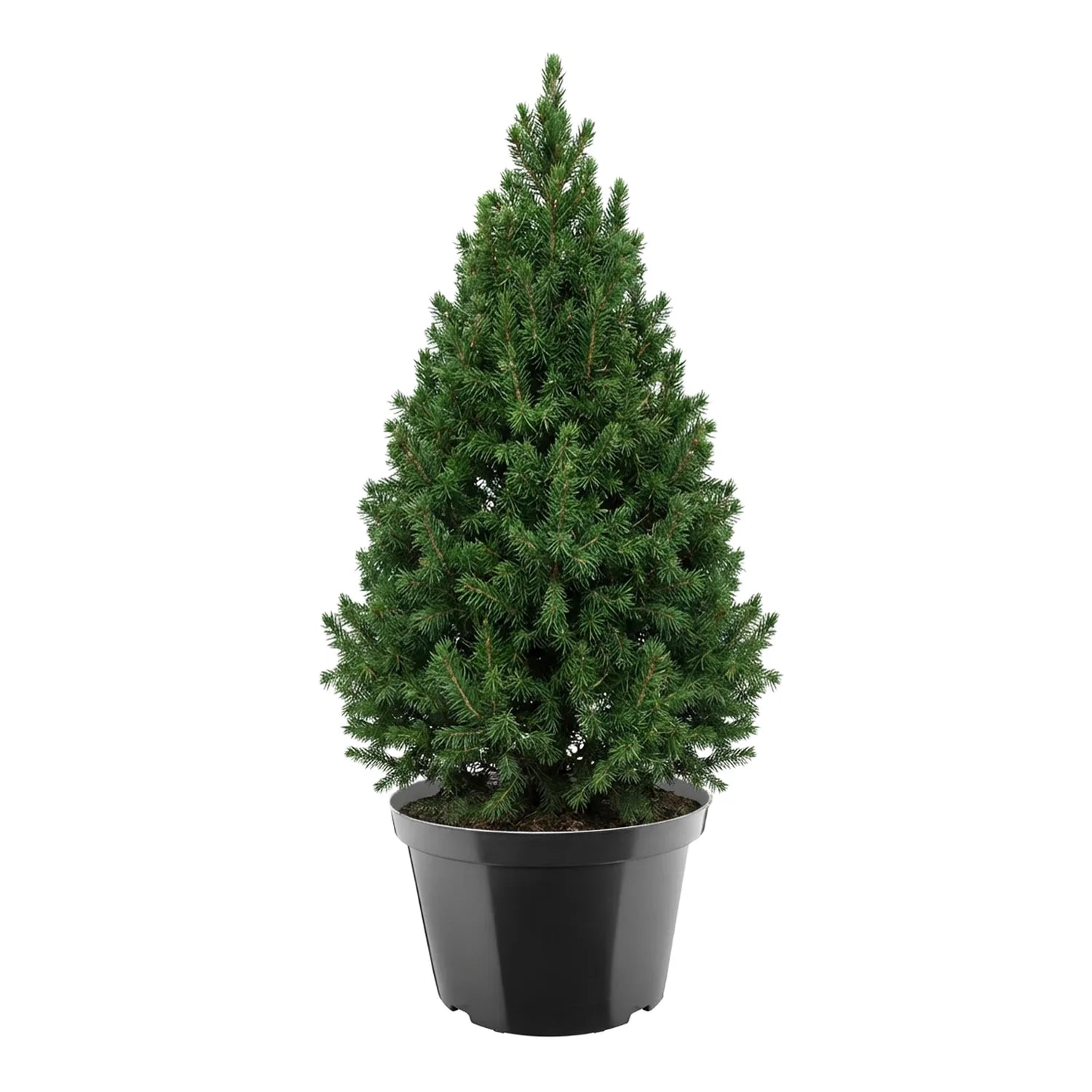 #Größe_Ø45,5 x 30 cm (35L)#Menge_1  Stück