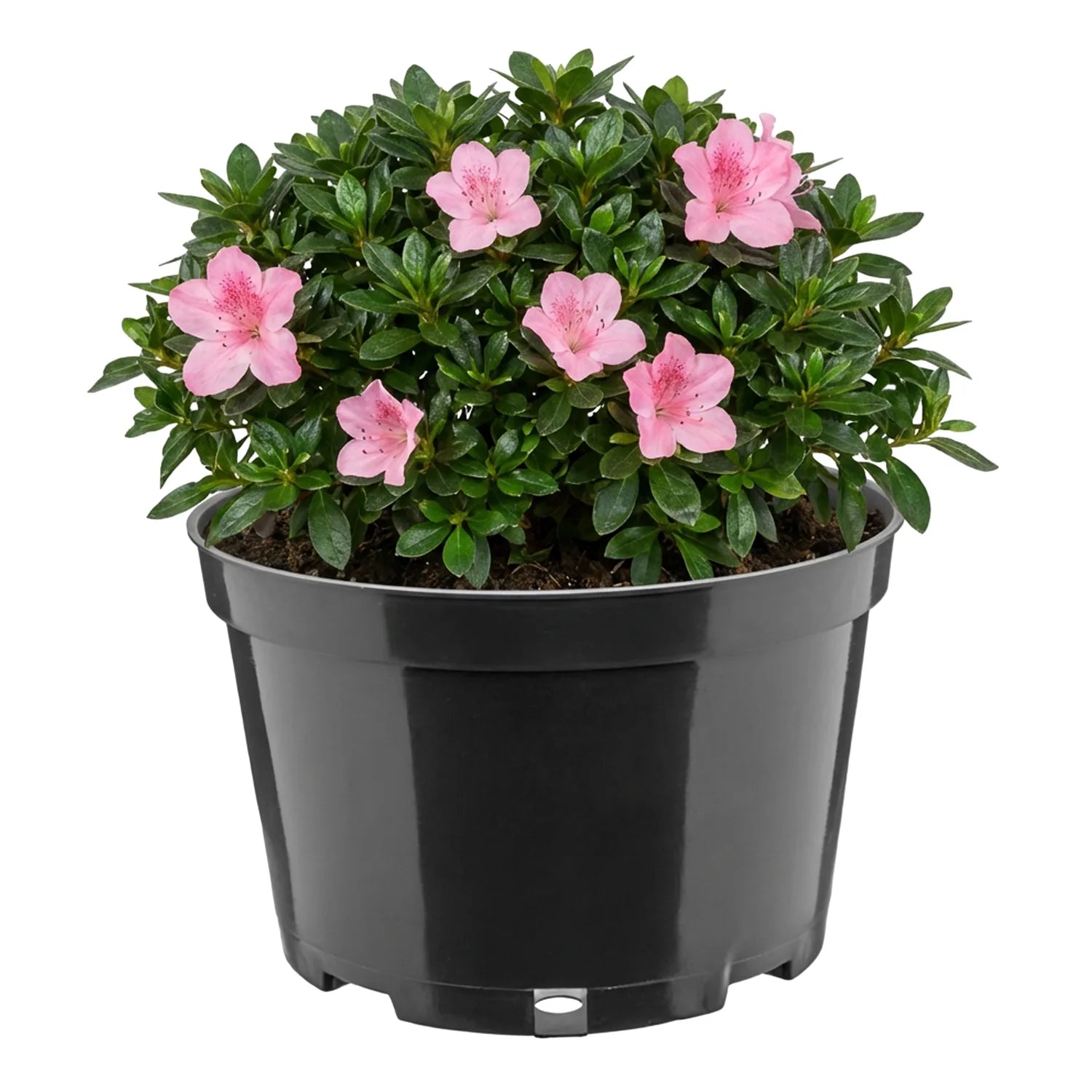 #Größe_Ø20 x 13 cm (3L)#Menge_1  Stück