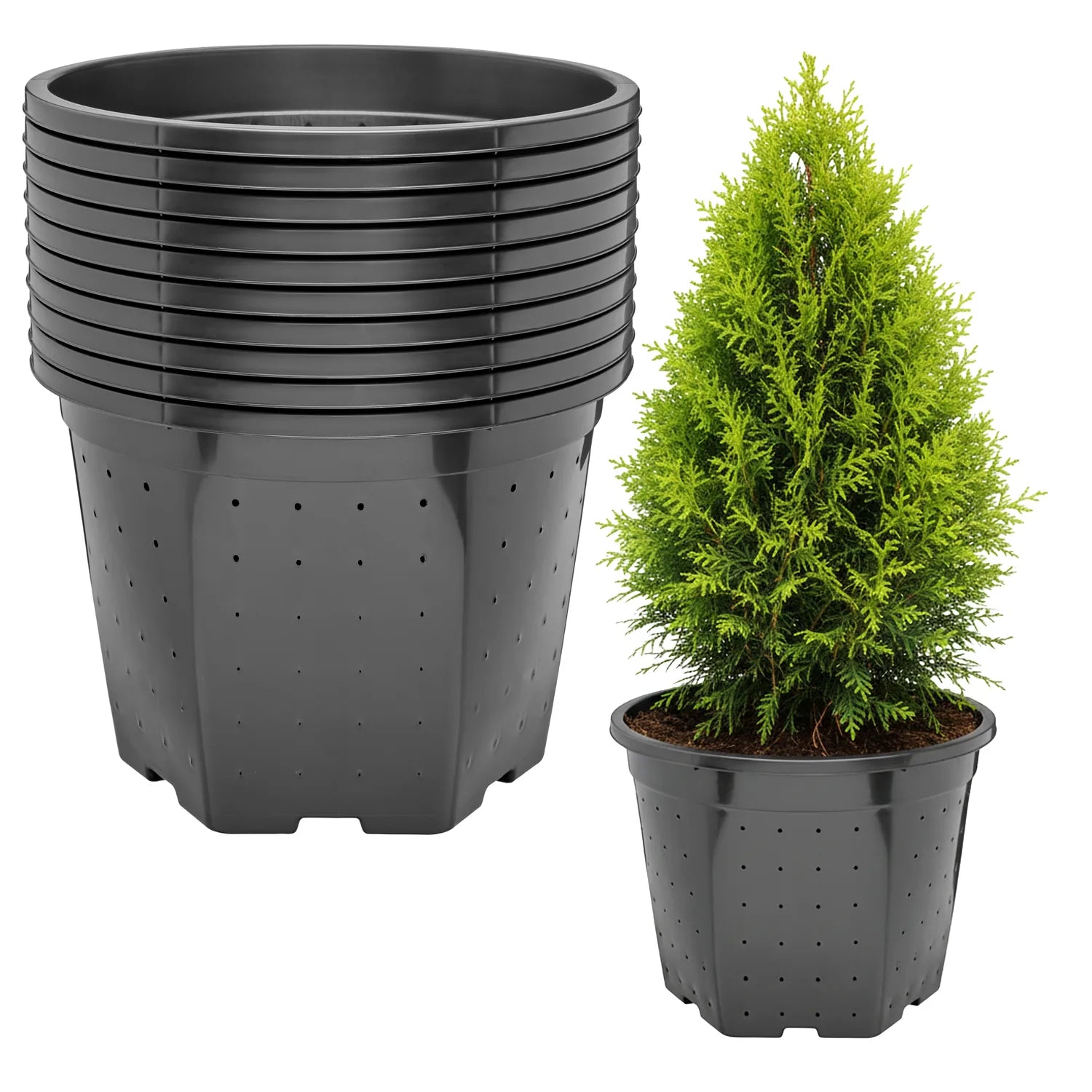 #Größe_Ø28 x 22 cm (10L)#Menge_10  Stück