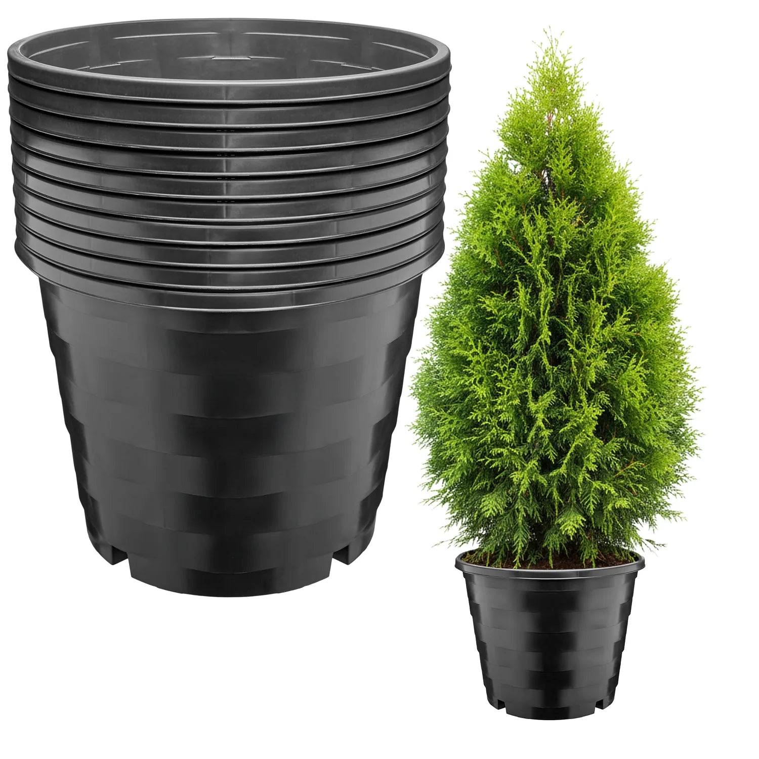 #Größe_Ø39 x 31 cm (25L)#Menge_10  Stück