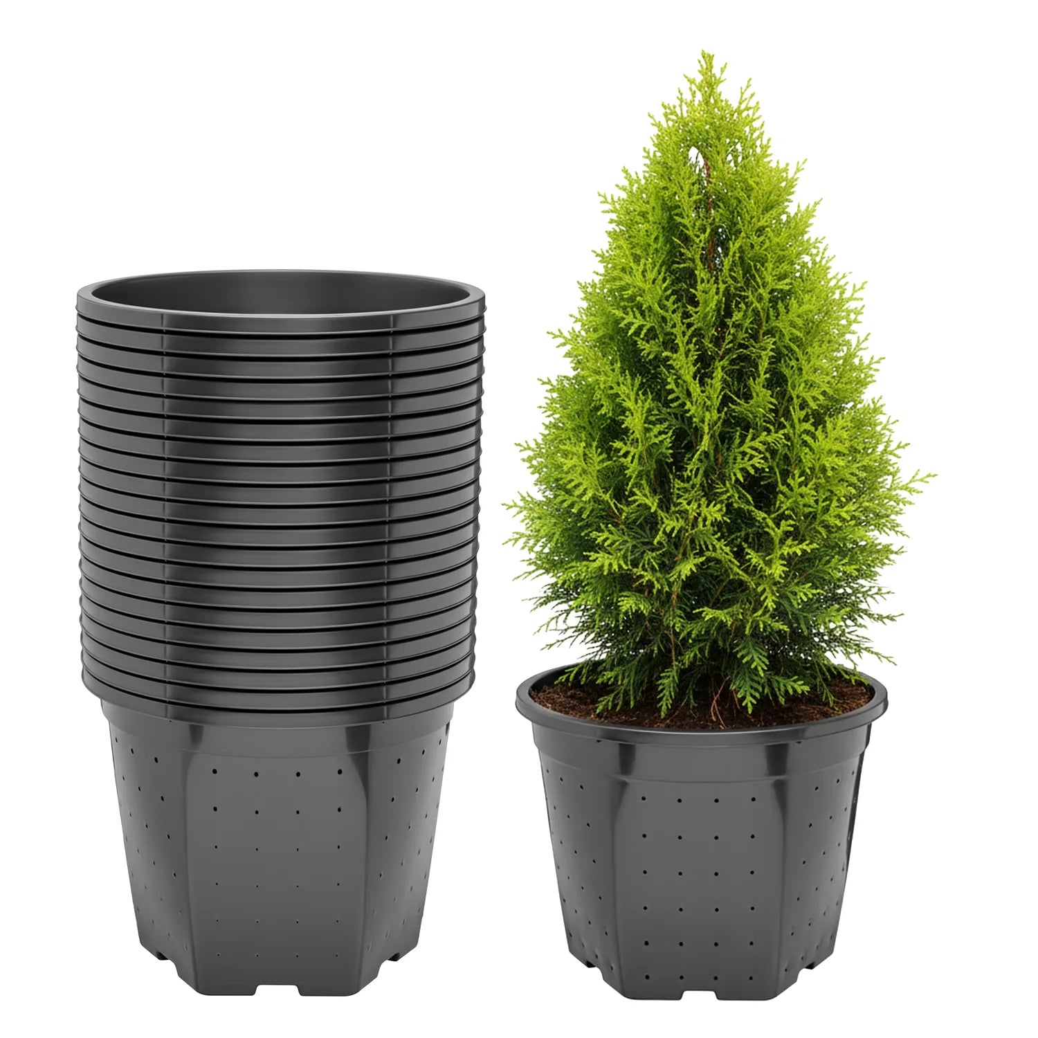 #Größe_Ø28 x 22 cm (10L)#Menge_20  Stück