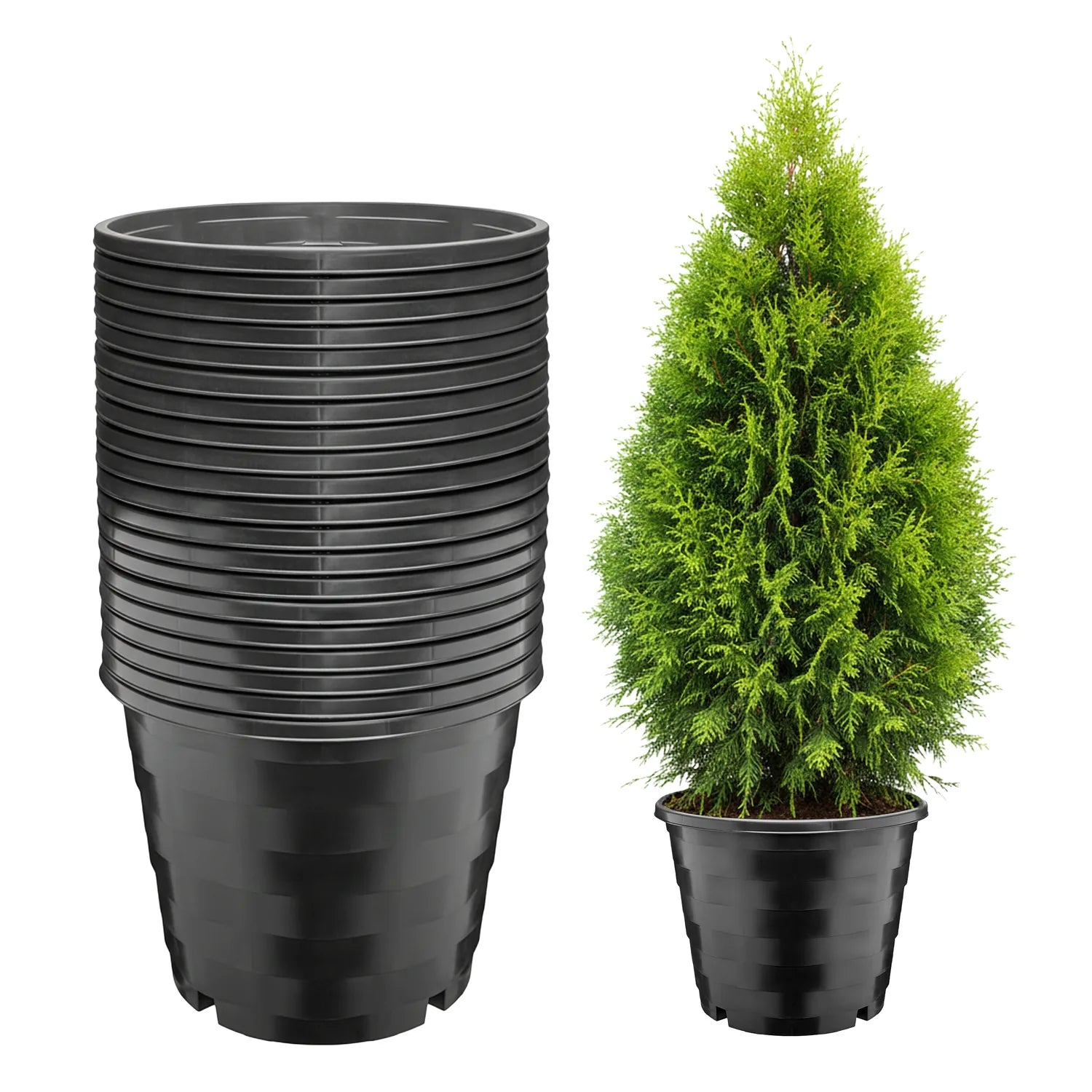 #Größe_Ø39 x 31 cm (25L)#Menge_20  Stück