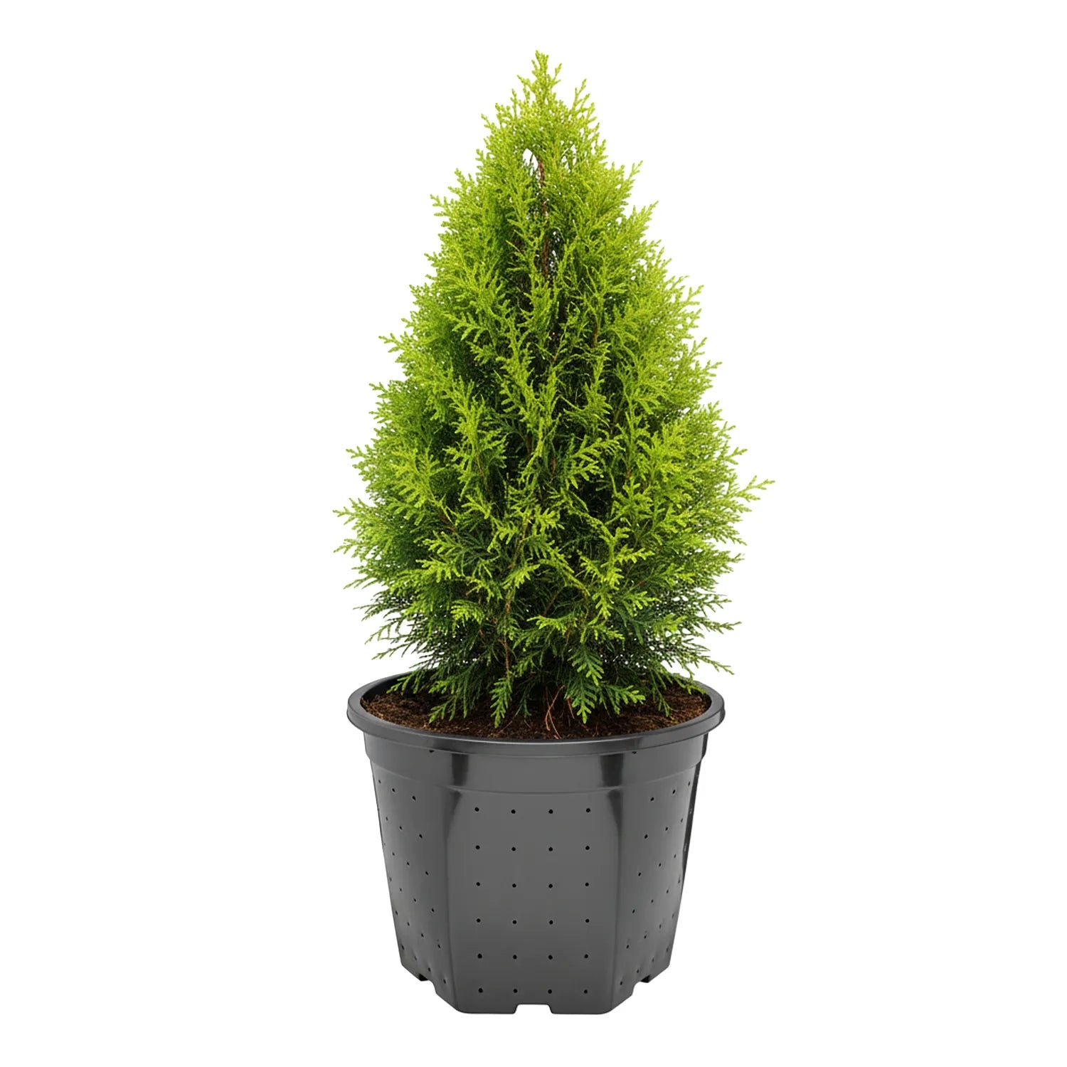 #Größe_Ø28 x 22 cm (10L)#Menge_1  Stück