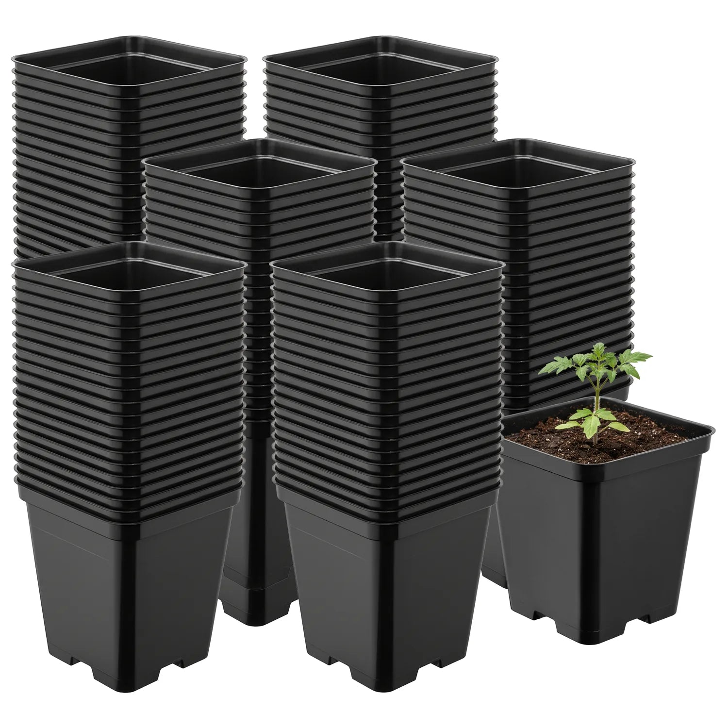 #Größe_9 x 9 x 9,6 cm (0,5L)#Menge_100 Stück