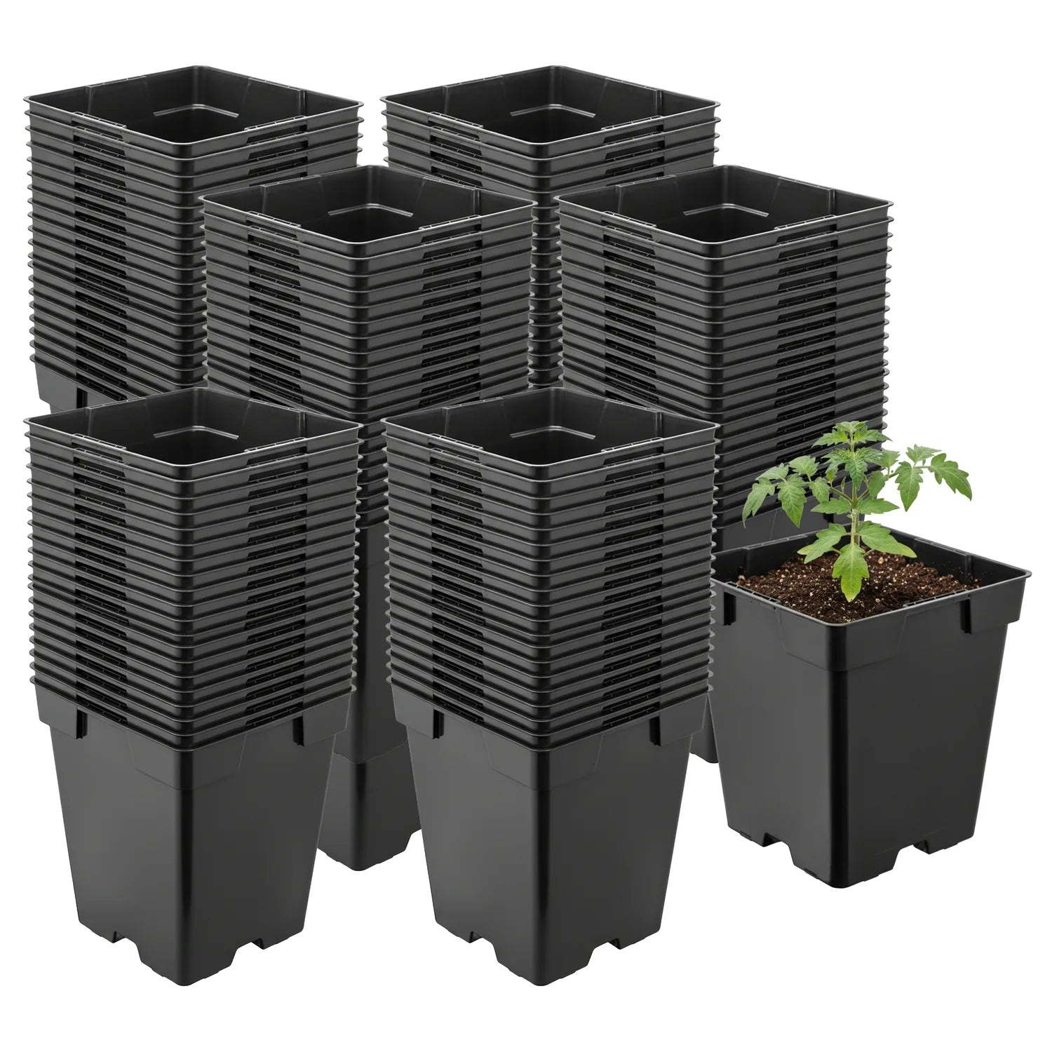 #Größe_11 x 11 x 12 cm (1L)#Menge_100 Stück