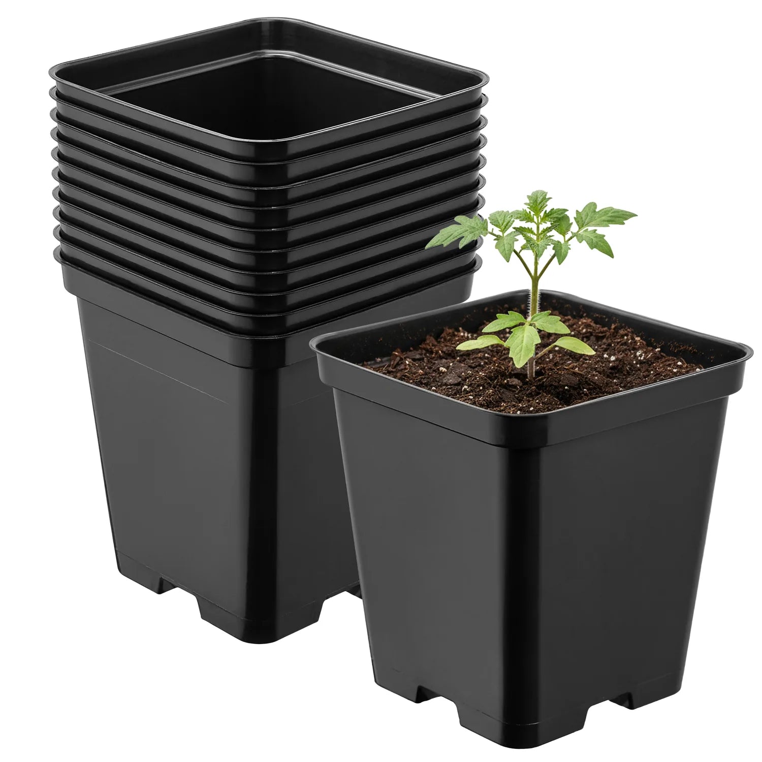 #Größe_9 x 9 x 9,6 cm (0,5L)#Menge_10 Stück