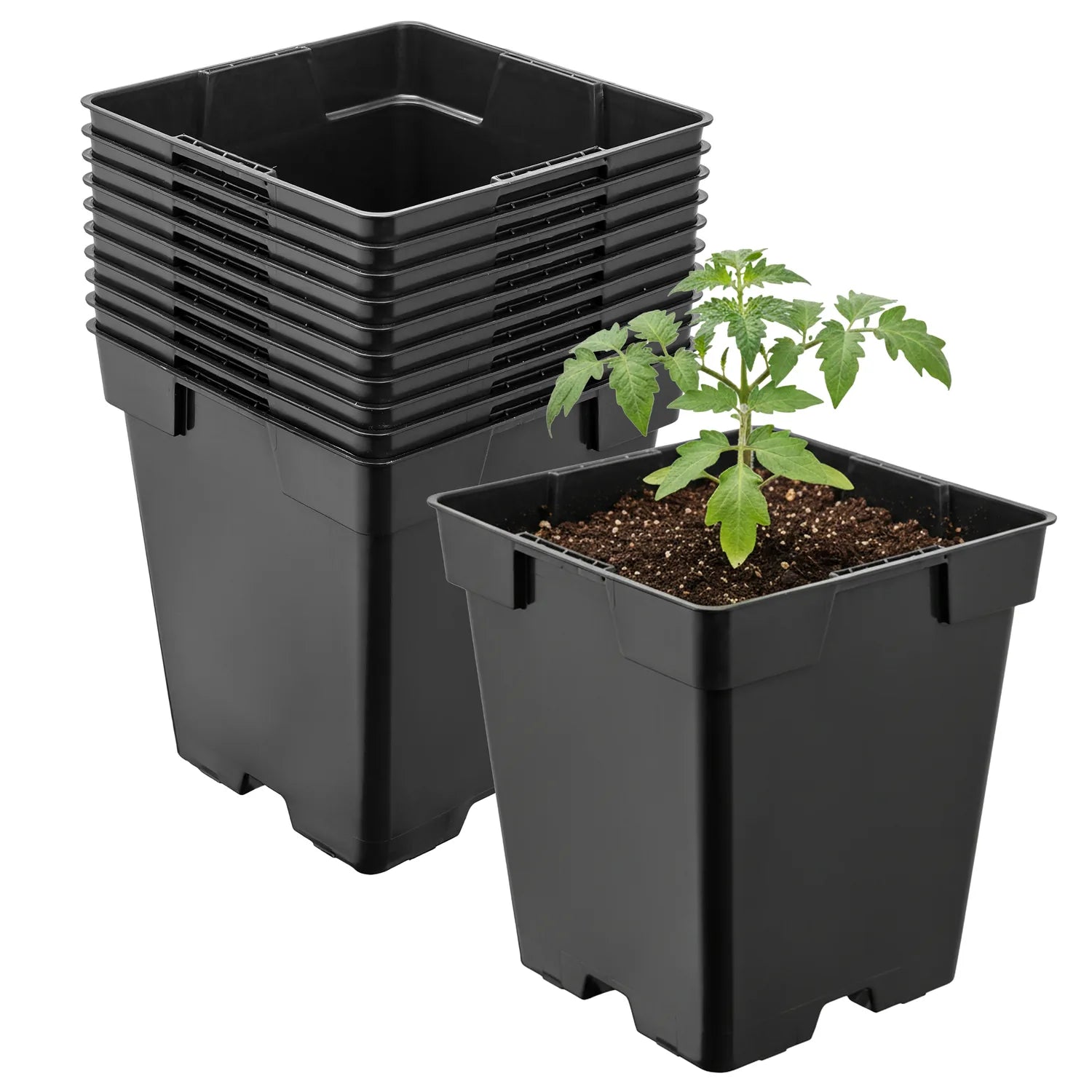 #Größe_11 x 11 x 12 cm (1L)#Menge_10 Stück