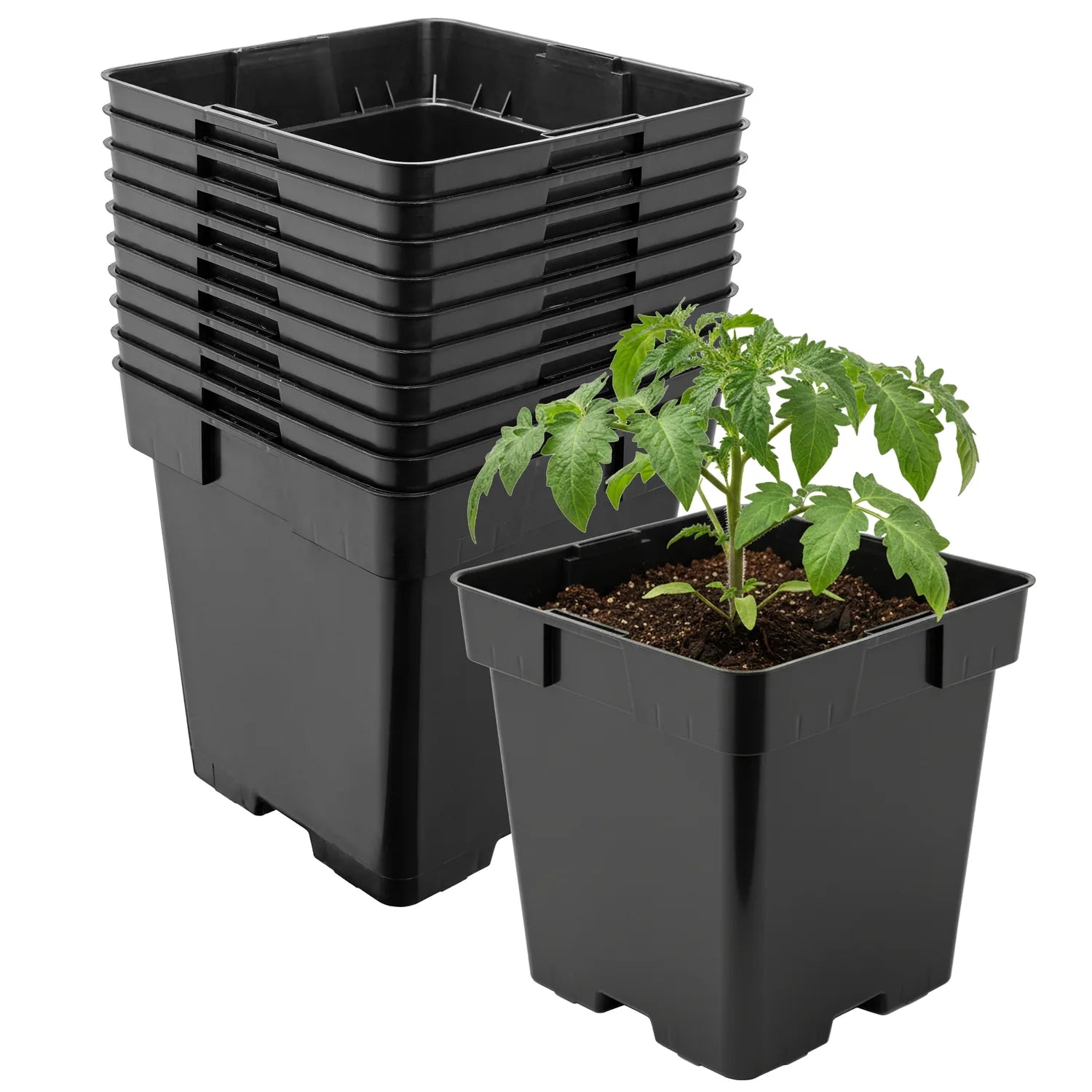 #Größe_16 x 16 x 16 cm (3L)#Menge_10 Stück