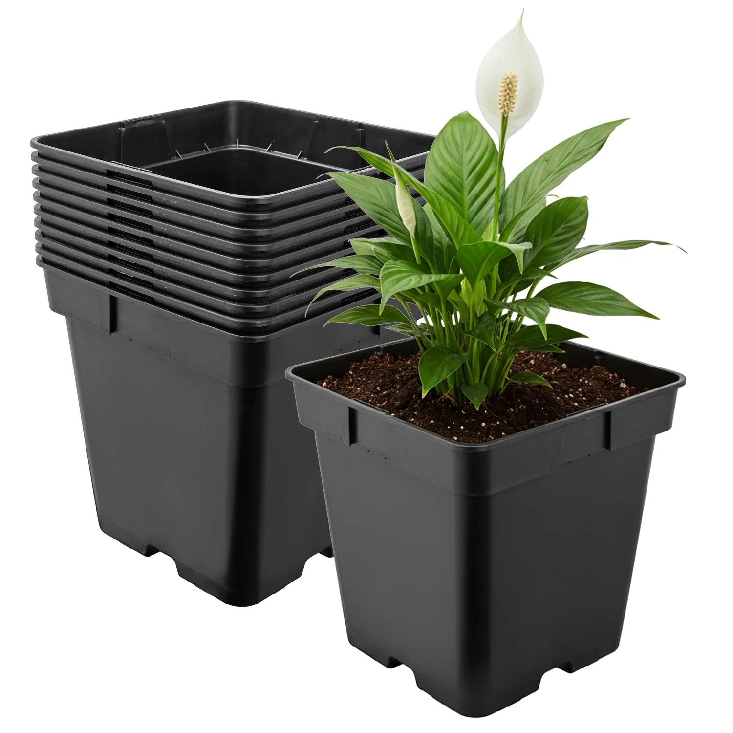 #Größe_18 x 18 x 18 cm (4L)#Menge_10 Stück